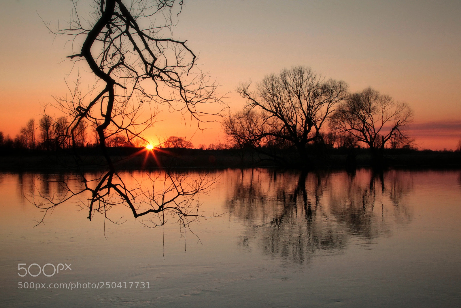 Canon EOS-1D Mark IV sample photo. Untitled photography