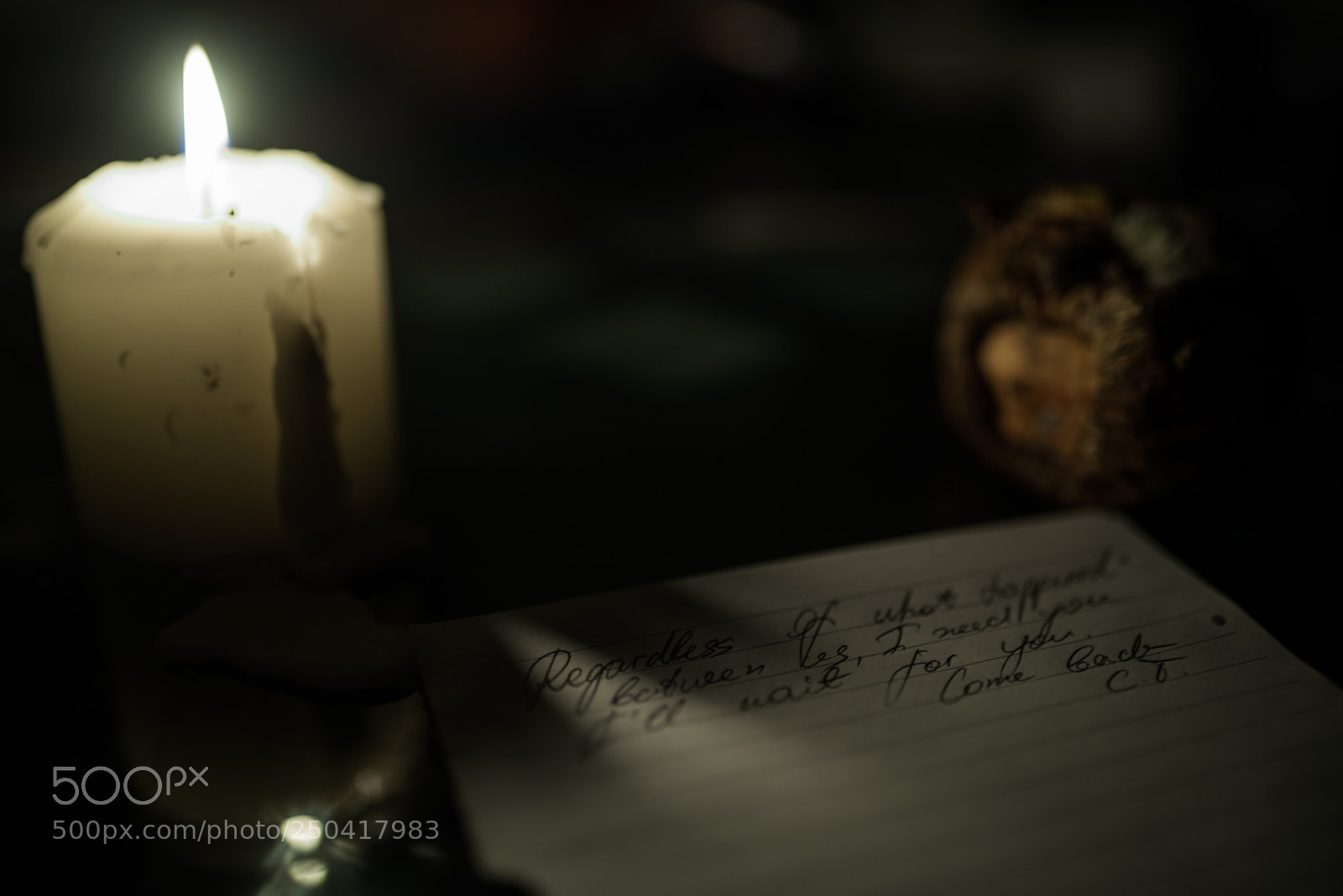 Nikon D800 sample photo. Come back photography