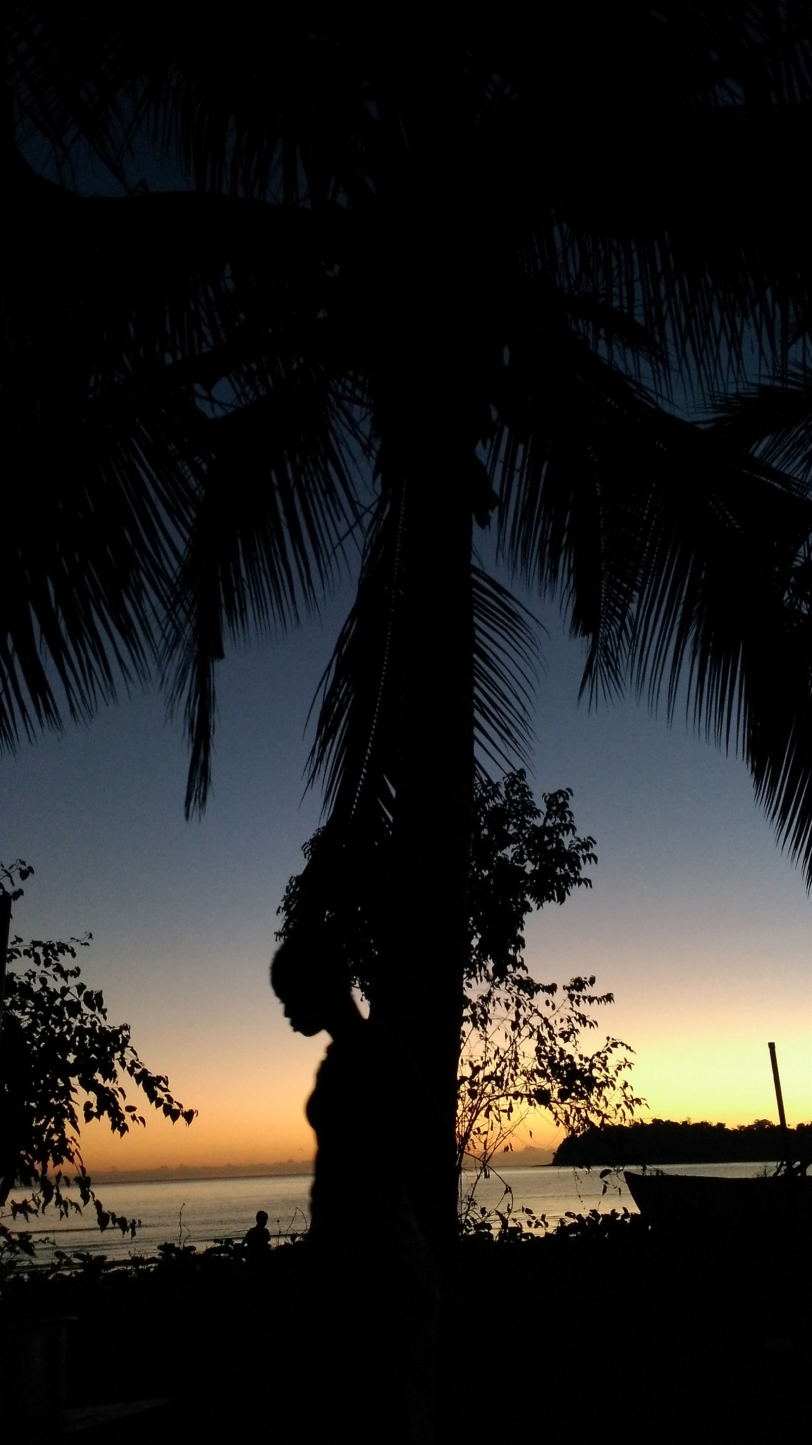 ASUS ZenFone 3 Laser (ZC551KL) sample photo. Sous les cocotiers ( à mzouazia ) photography