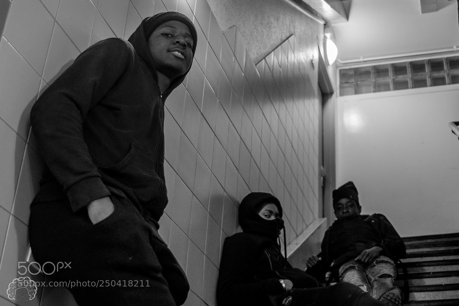Nikon D500 sample photo. Untitled photography