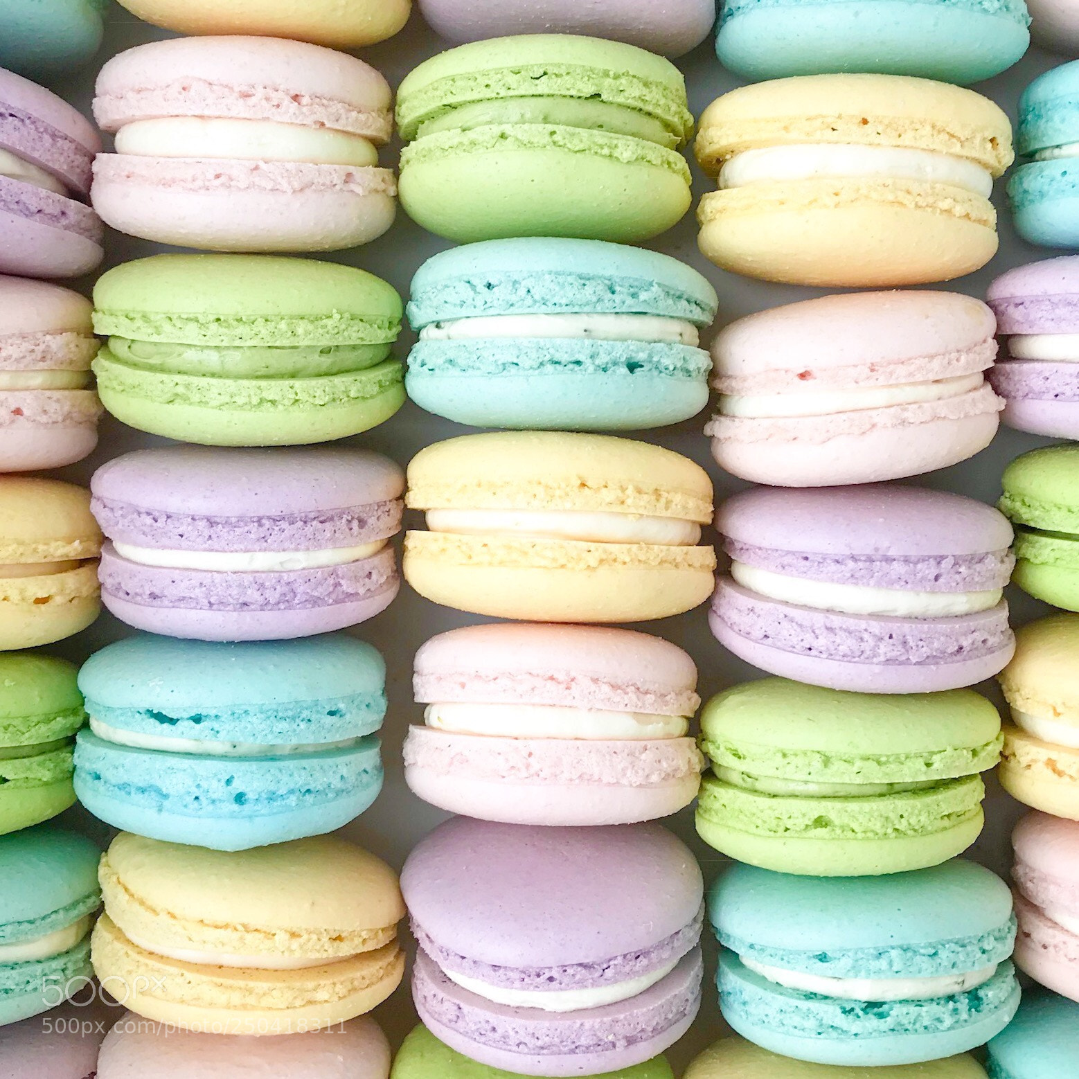 Apple iPhone 7 Plus sample photo. Macarons by annabella patisserie  photography