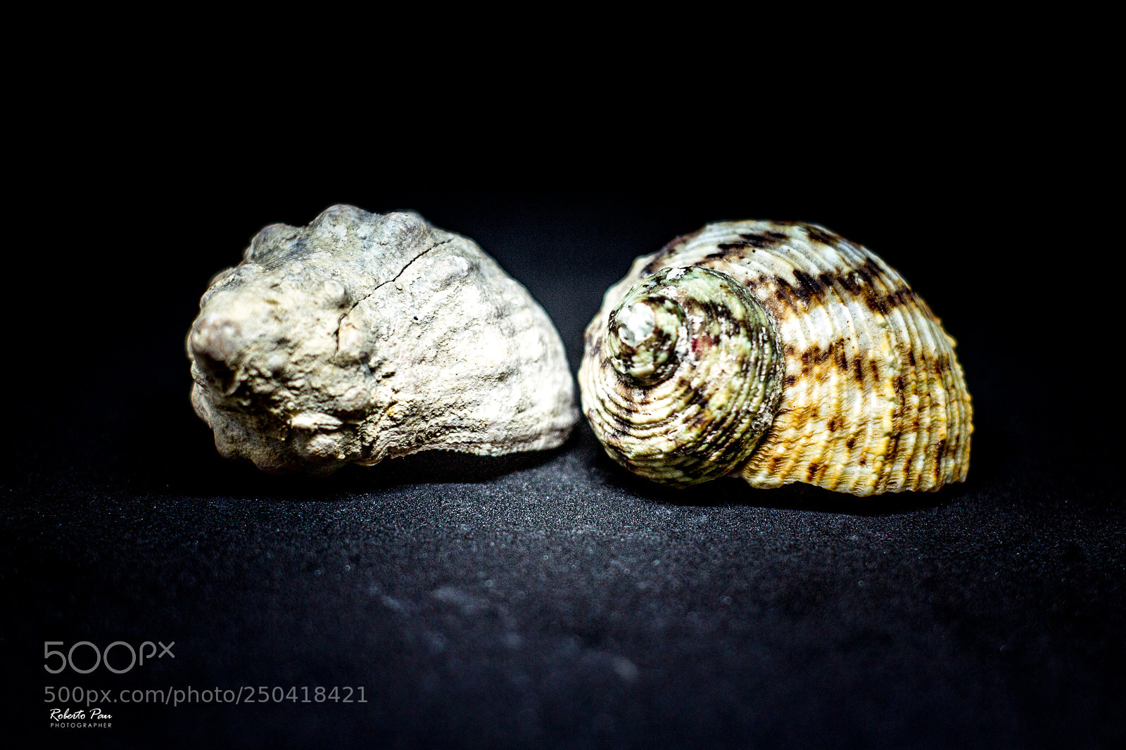 Canon EOS 70D sample photo. Still life in the photography