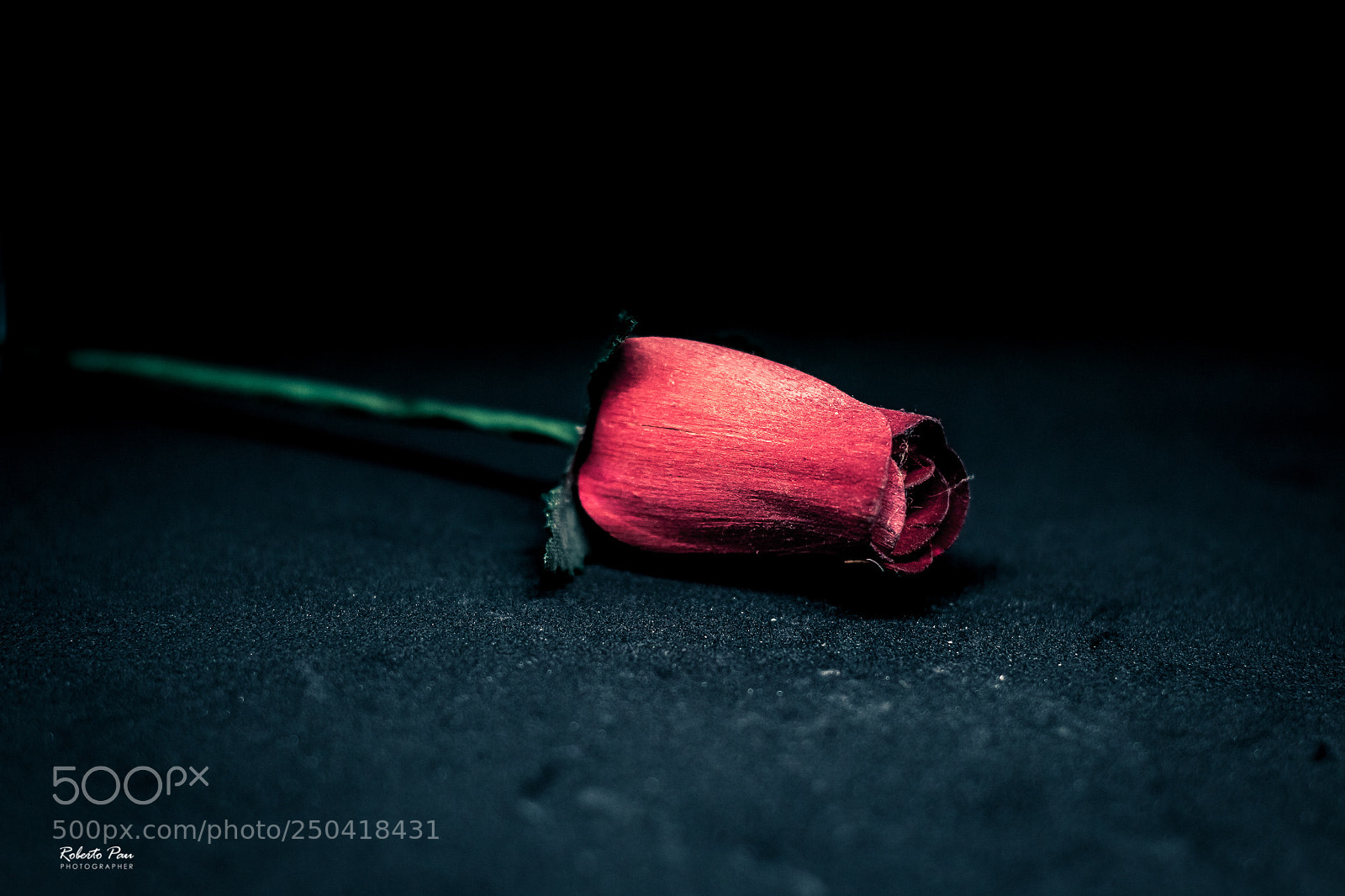 Canon EOS 70D sample photo. Still life in the photography