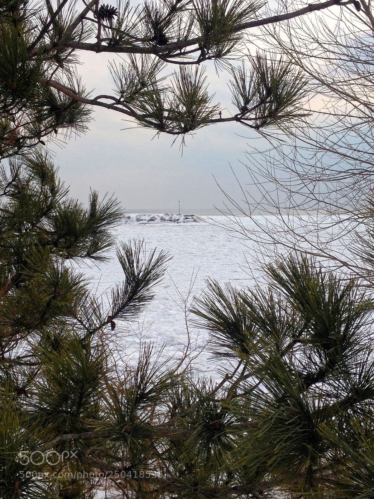 Apple iPhone 4S sample photo. Through the trees photography