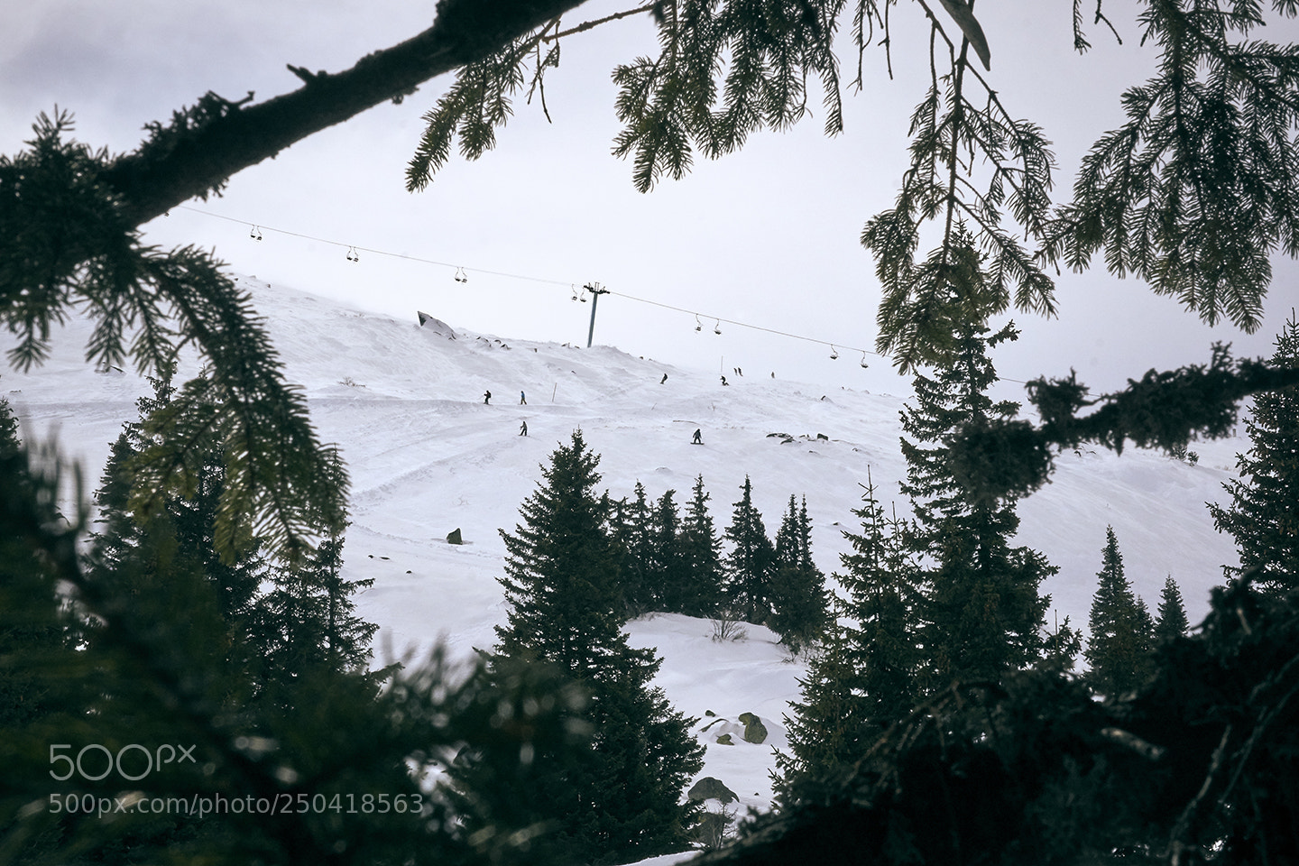 Sony a6000 sample photo. Behind the trees photography