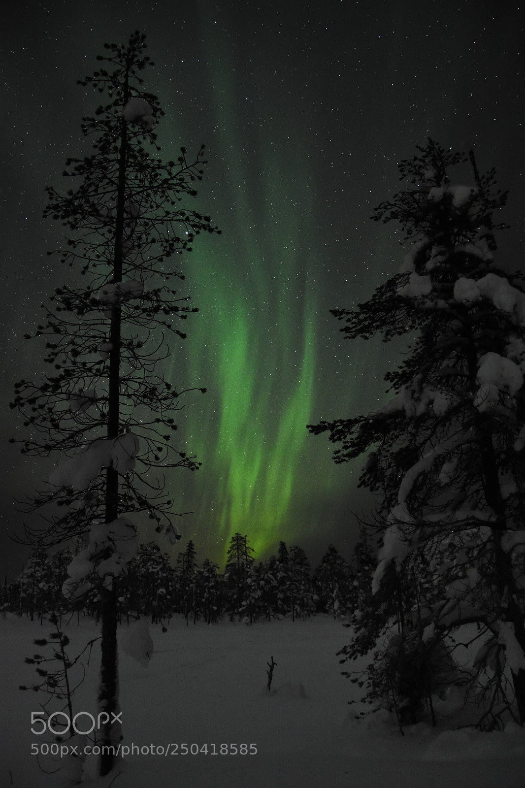 Nikon D7200 sample photo. Lady aurora doing what photography