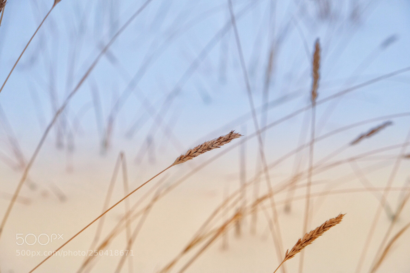 Fujifilm X-T20 sample photo. Winter life photography