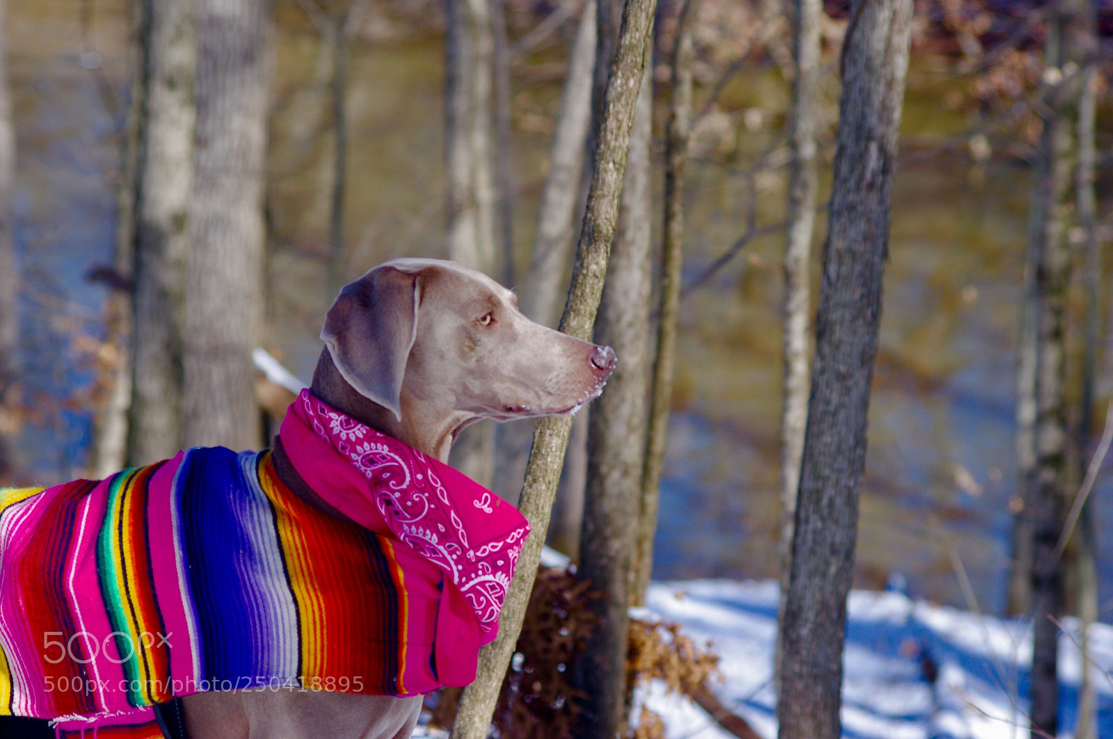 Pentax K-x sample photo. Overseeing the valley below photography