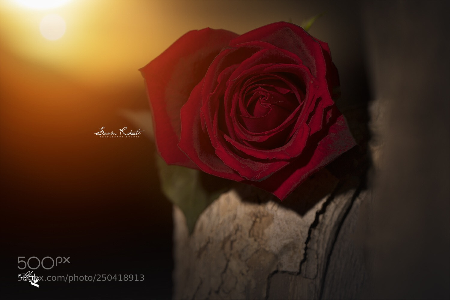 Canon EOS 5D Mark IV sample photo. کرمان کوهپایه
بوی آرامش می آید ...
photographer : 
saam robati photography