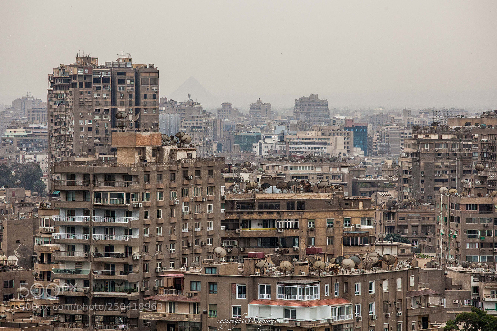 Canon EOS 5D Mark II sample photo. Cairo by nile photography