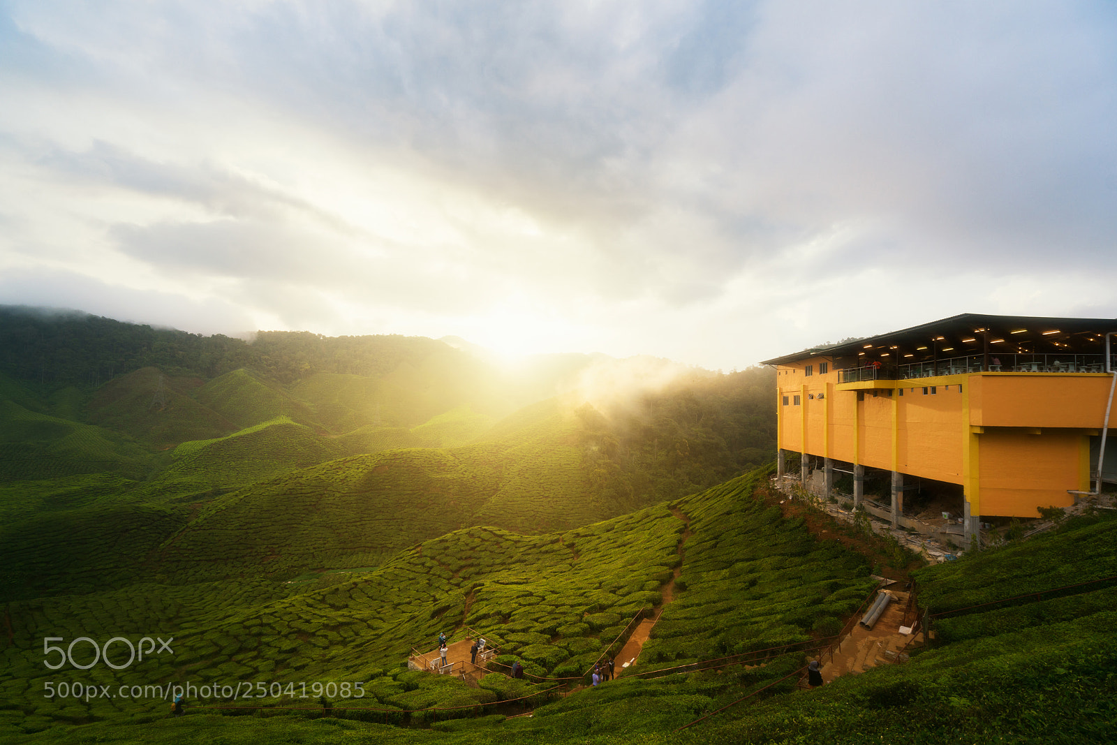 Sony a7R II sample photo. Amazing malaysia landscape. view photography
