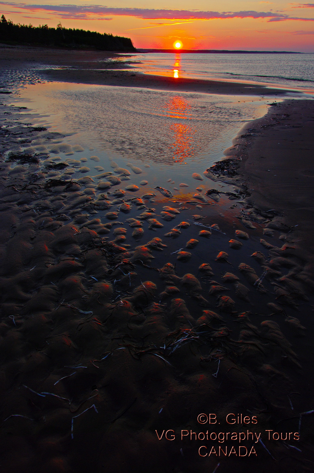 Pentax K20D sample photo. Ripples in the sand photography