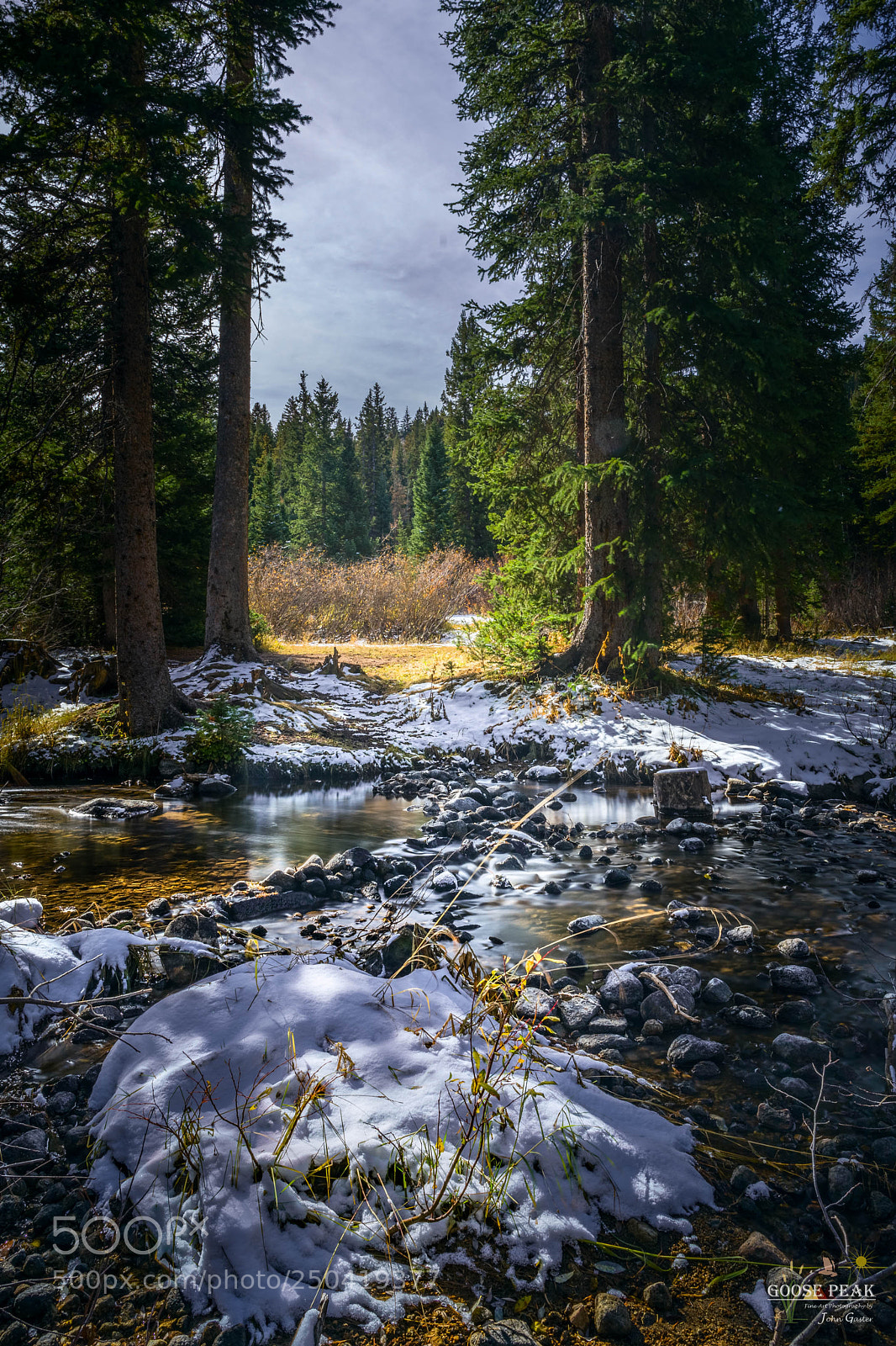 Sony a7R II sample photo. Autumn trees photography