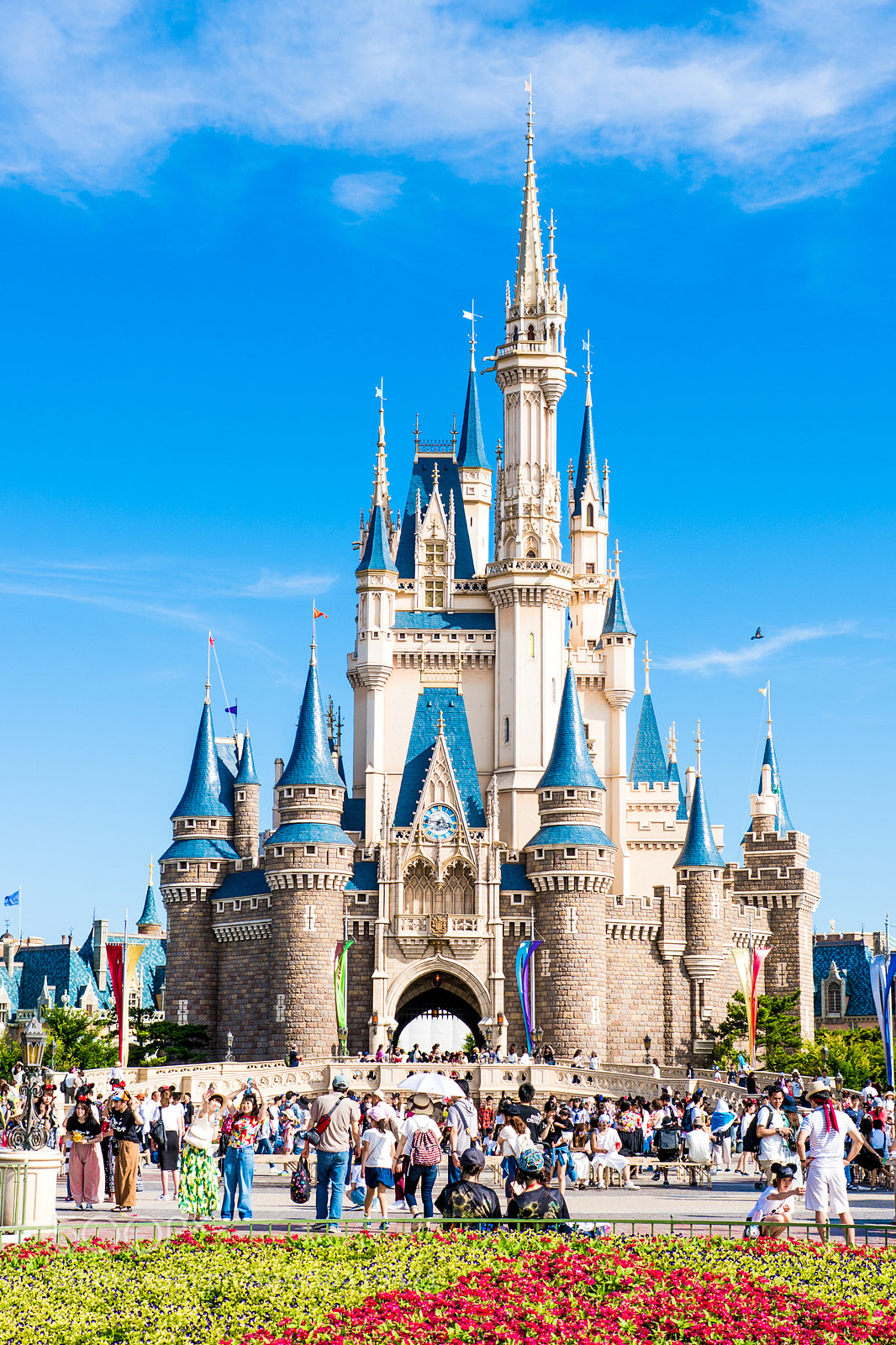 Sony ILCA-77M2 sample photo. Tokyo disney land photography