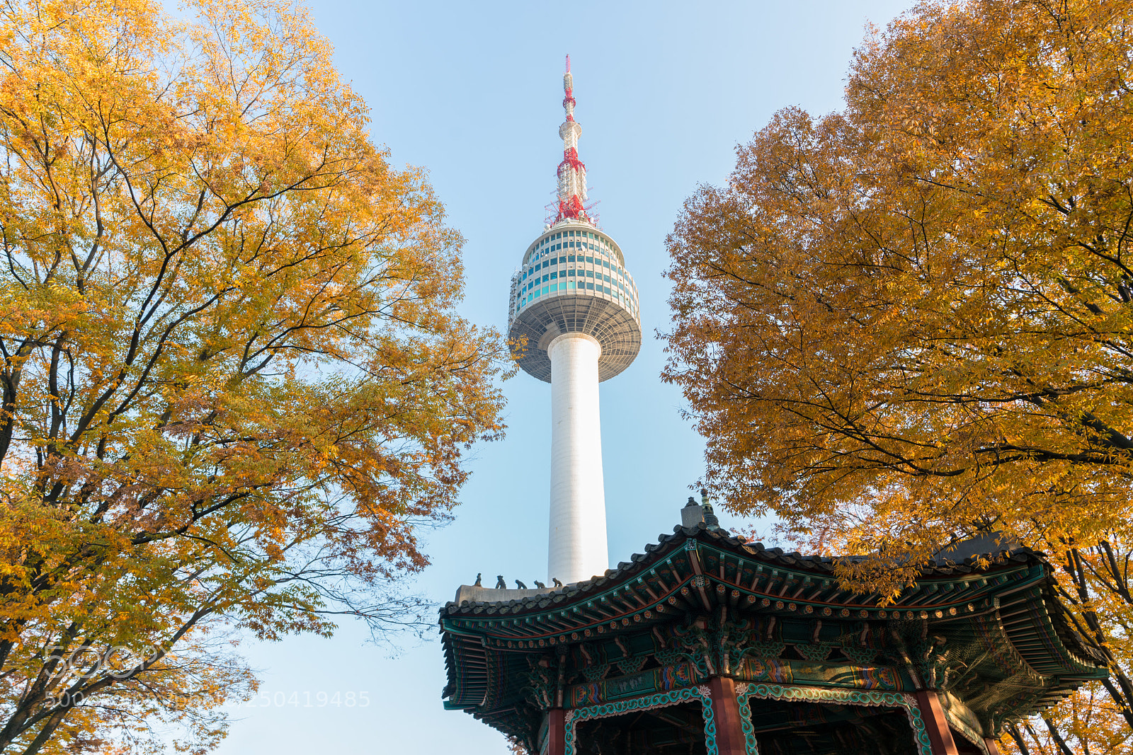 Sony a7R II sample photo. Seoul tower with yellow photography