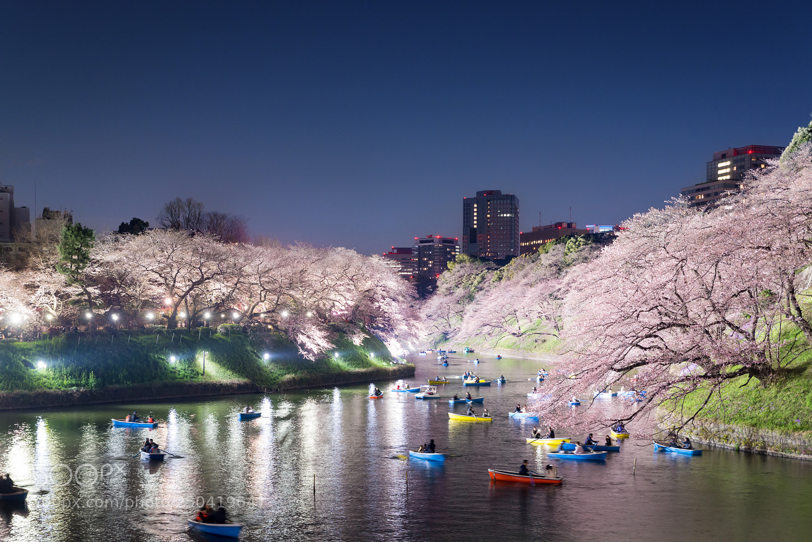Nikon D800 sample photo. Night view of massive photography