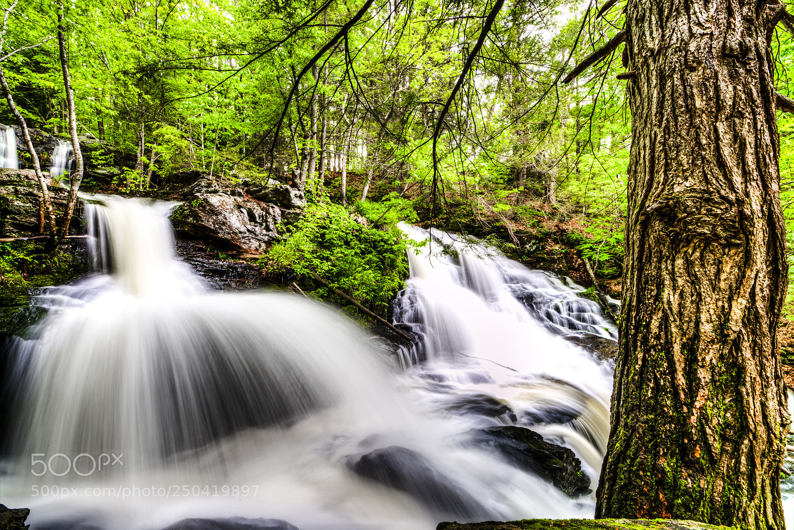 Nikon D800 sample photo. Waterfall and tree photography