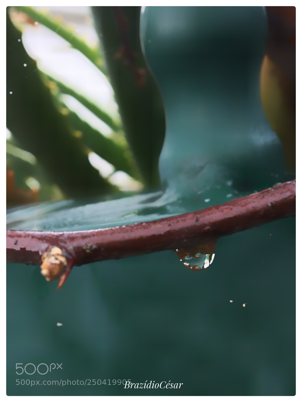 Apple iPhone 6s sample photo. Untitled photography