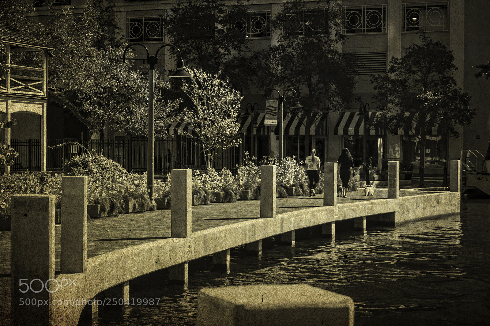 Nikon D3200 sample photo. Riverwalk fort lauderdale florida photography