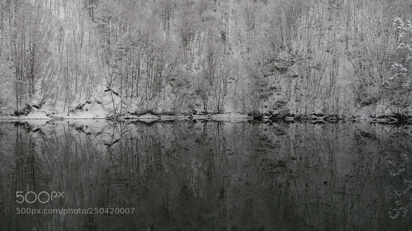 Sony a7 II sample photo. Quiet opposite shore photography