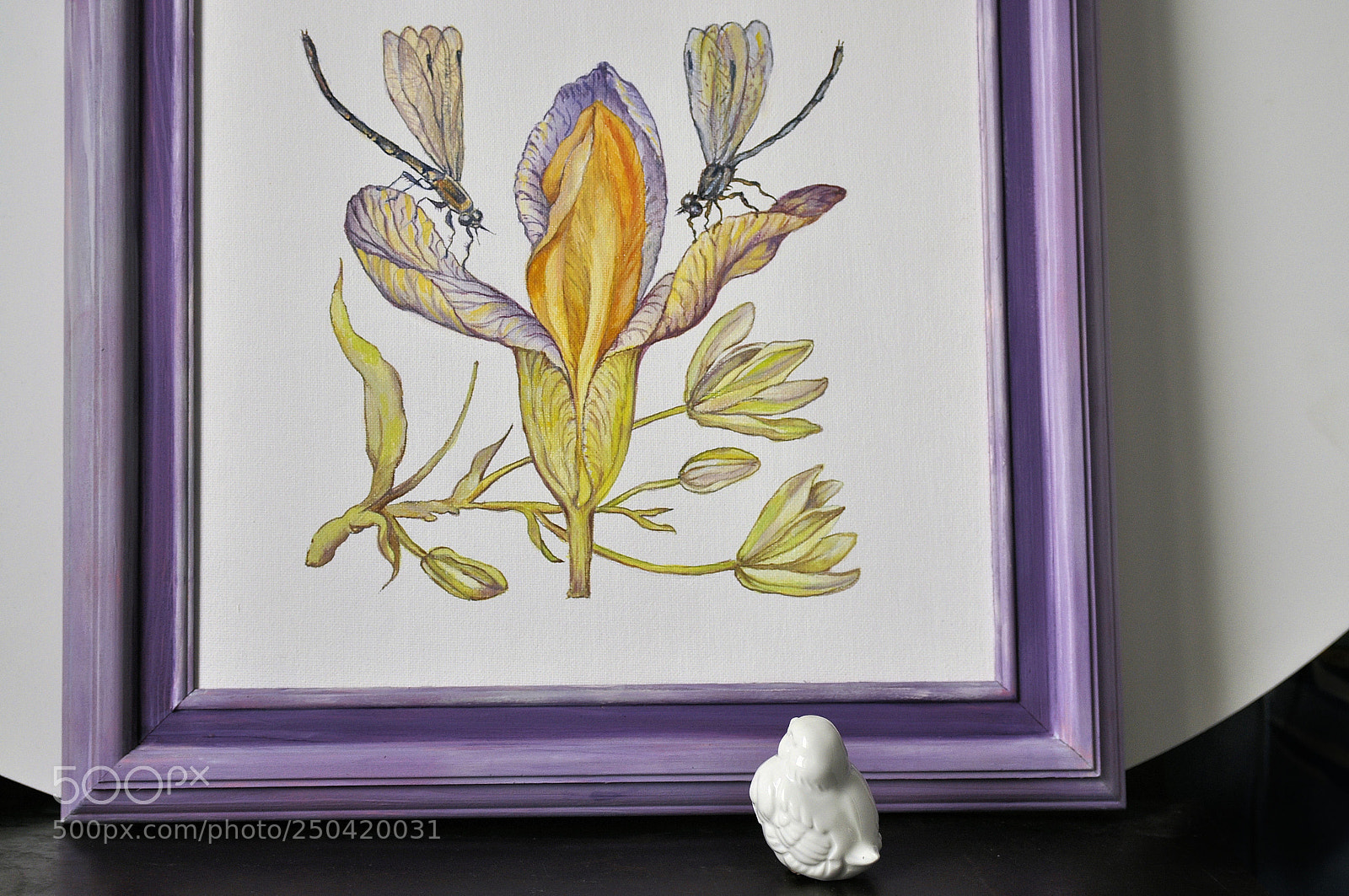 Nikon D90 sample photo. ... photography