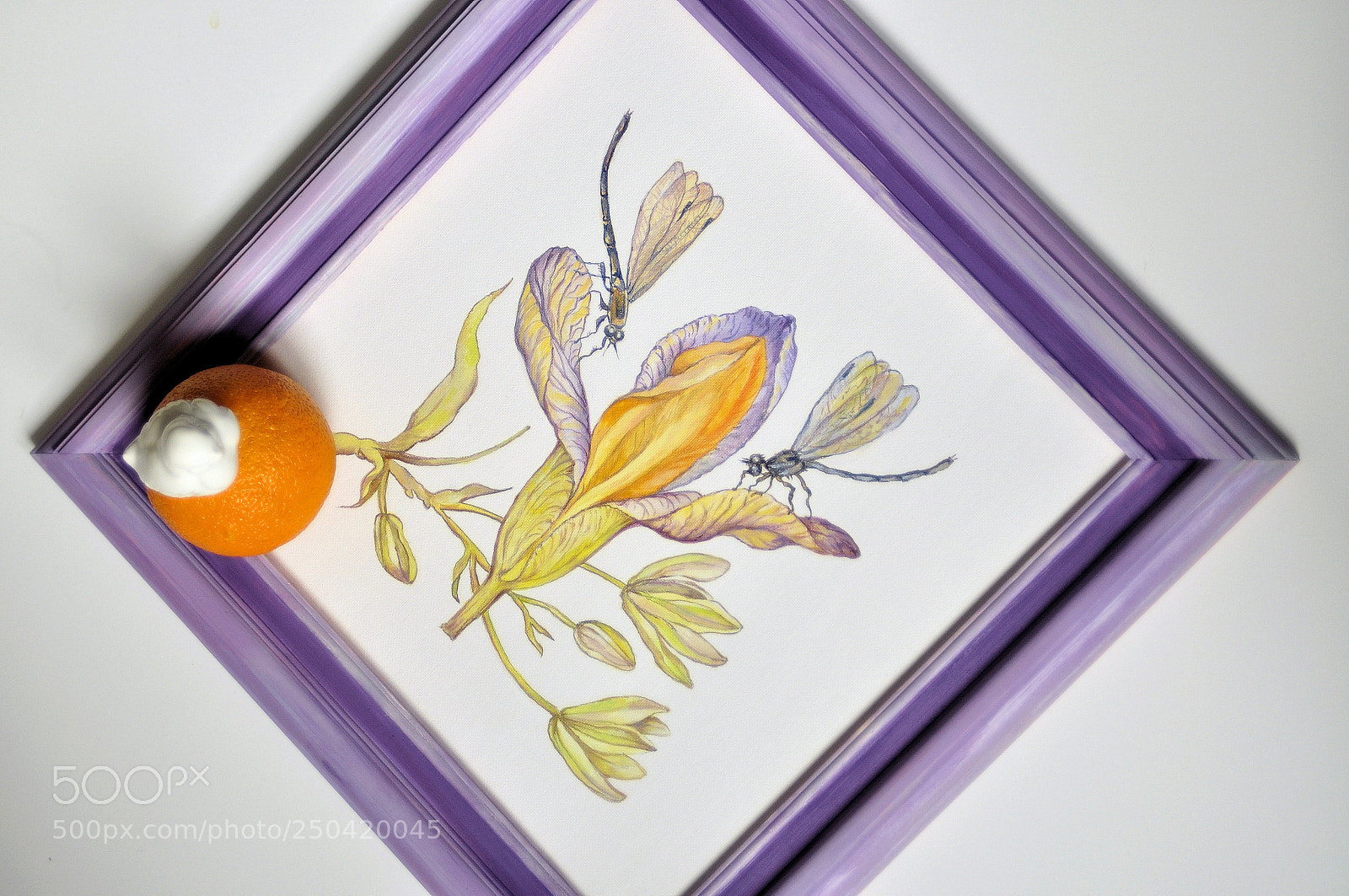 Nikon D90 sample photo. ... photography