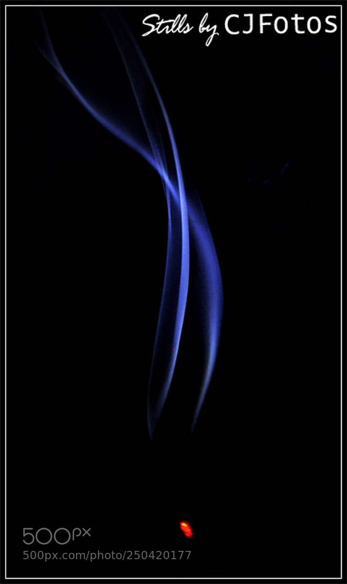 Nikon D90 sample photo. Cj fotos photographer photography