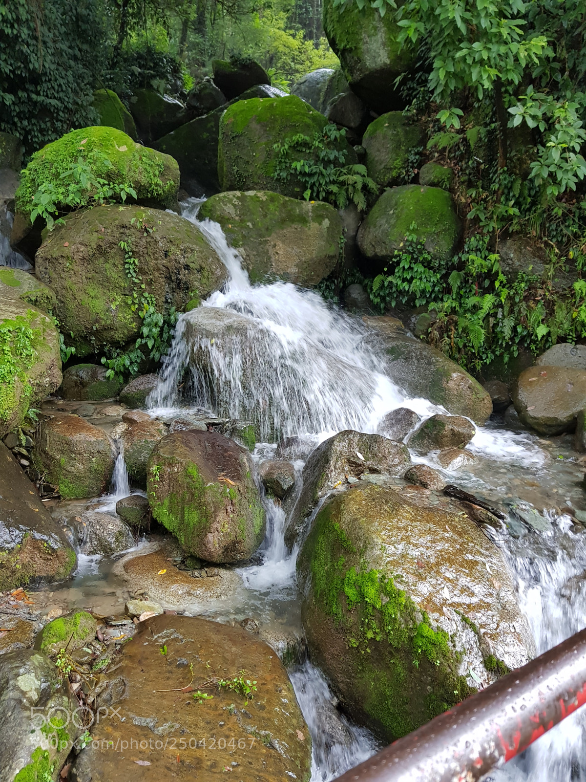 Samsung Galaxy S8 sample photo. 20170821_122846.jpg photography