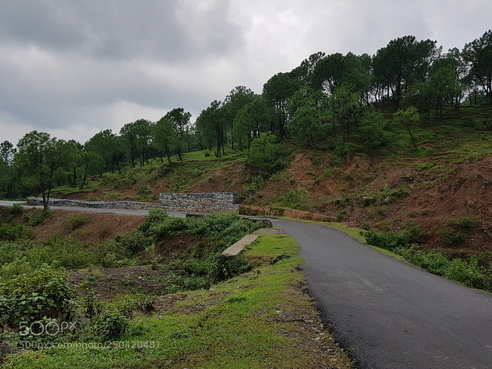 Samsung Galaxy S8 sample photo. 20170821_131335.jpg photography