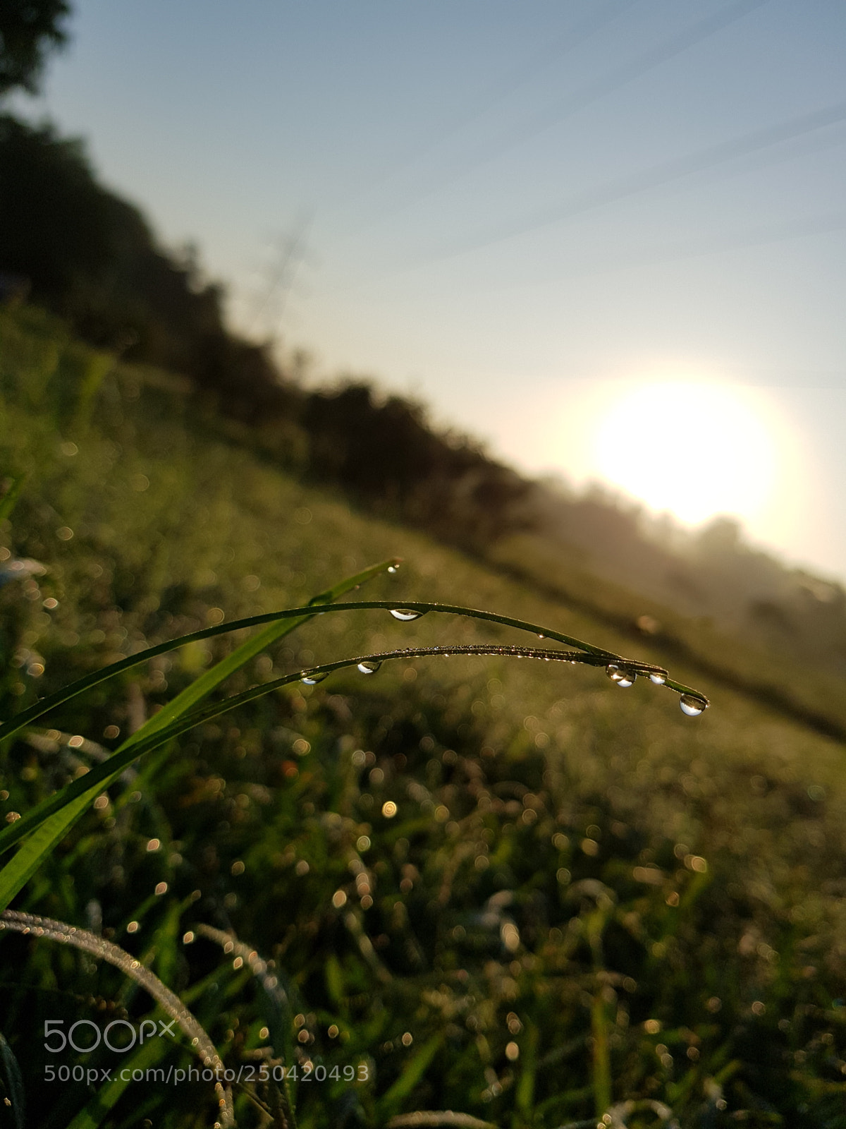 Samsung Galaxy S8 sample photo. 20170905_064220.jpg photography