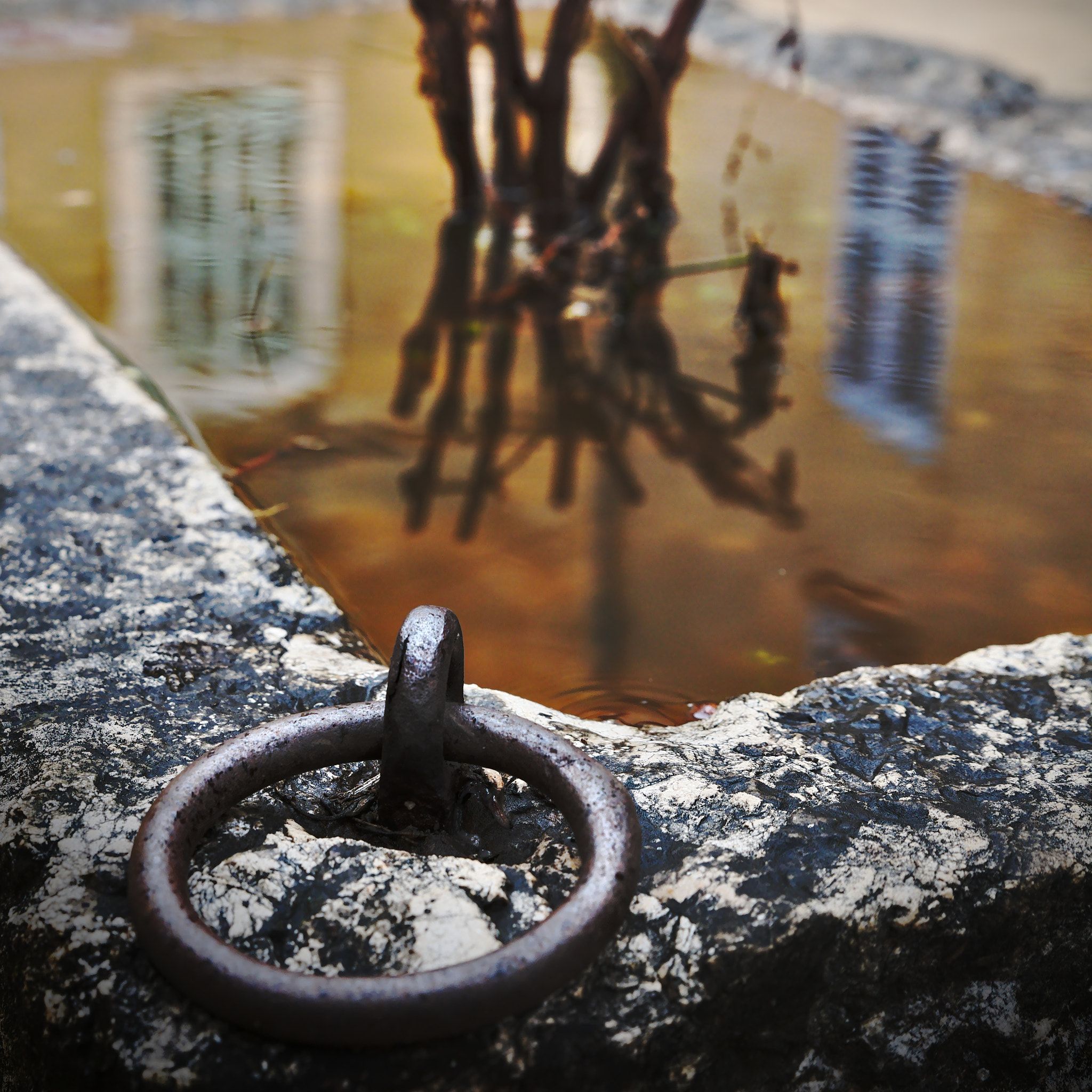 Tamron SP 24-70mm F2.8 Di VC USD sample photo. R e f l e c t i o n photography