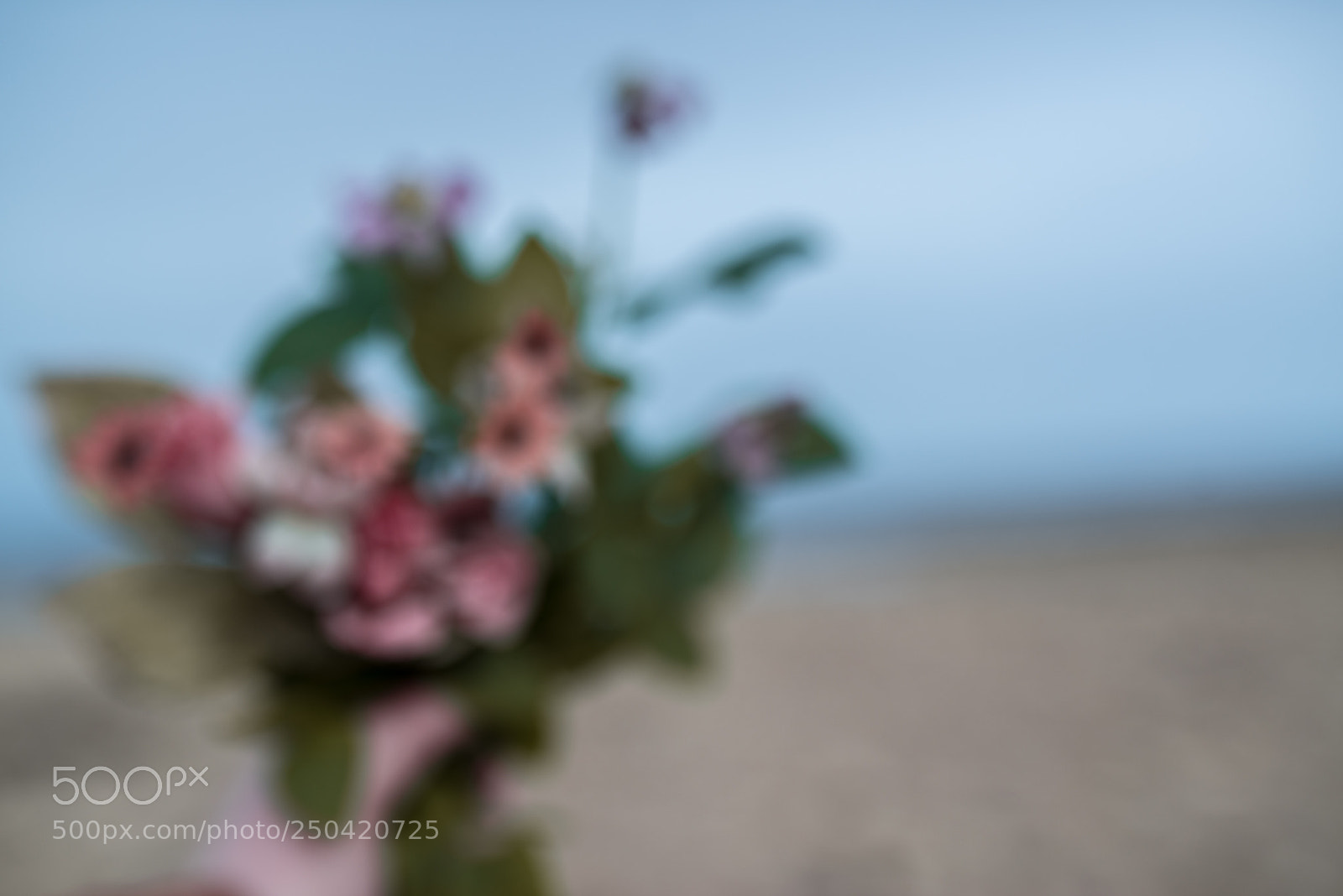 Nikon D800 sample photo. Mirage photography