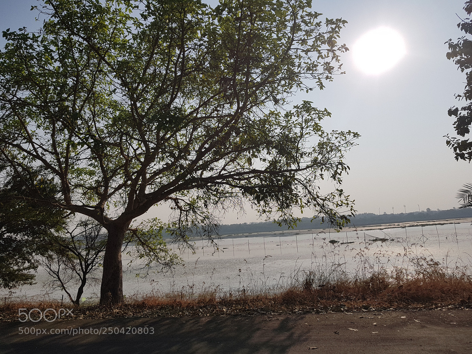 Samsung Galaxy S8 sample photo. 20171123_153242.jpg photography