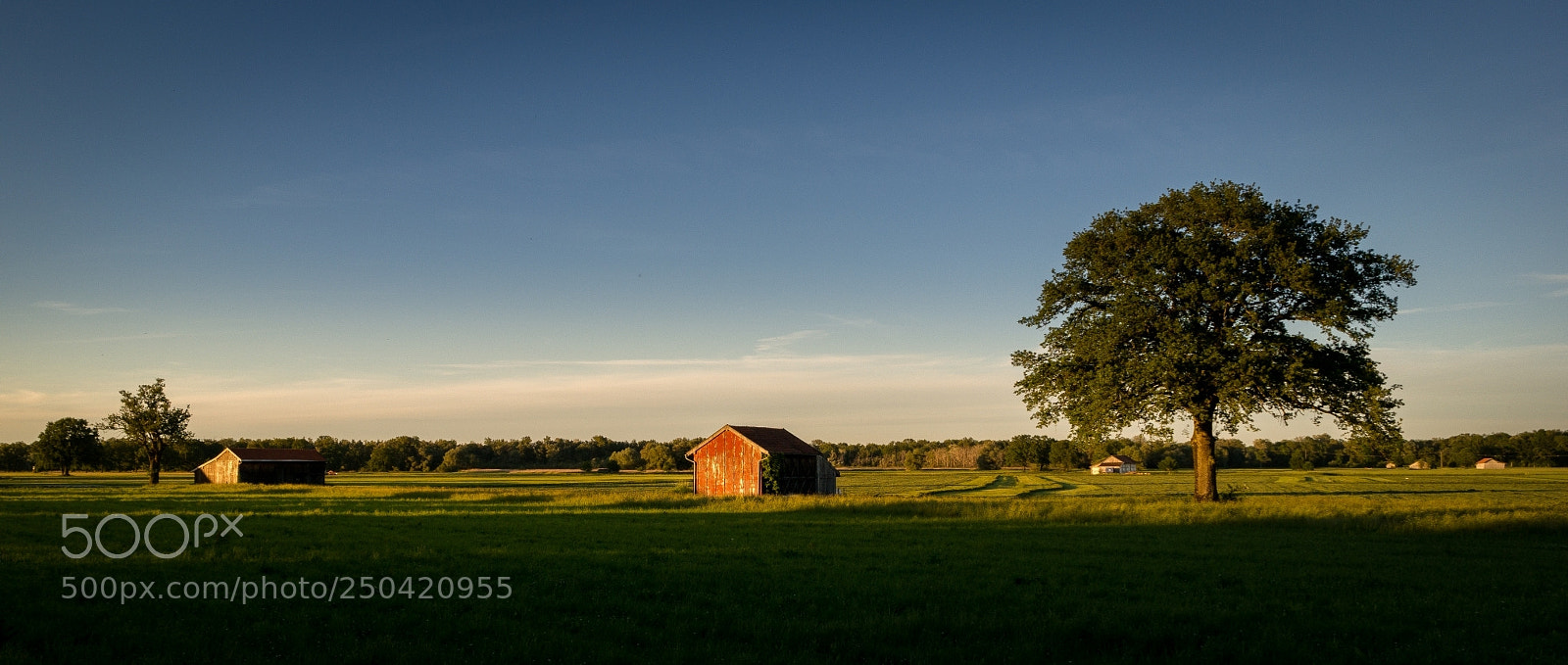 Samsung NX300 sample photo. Lachsgang sunset stroll photography