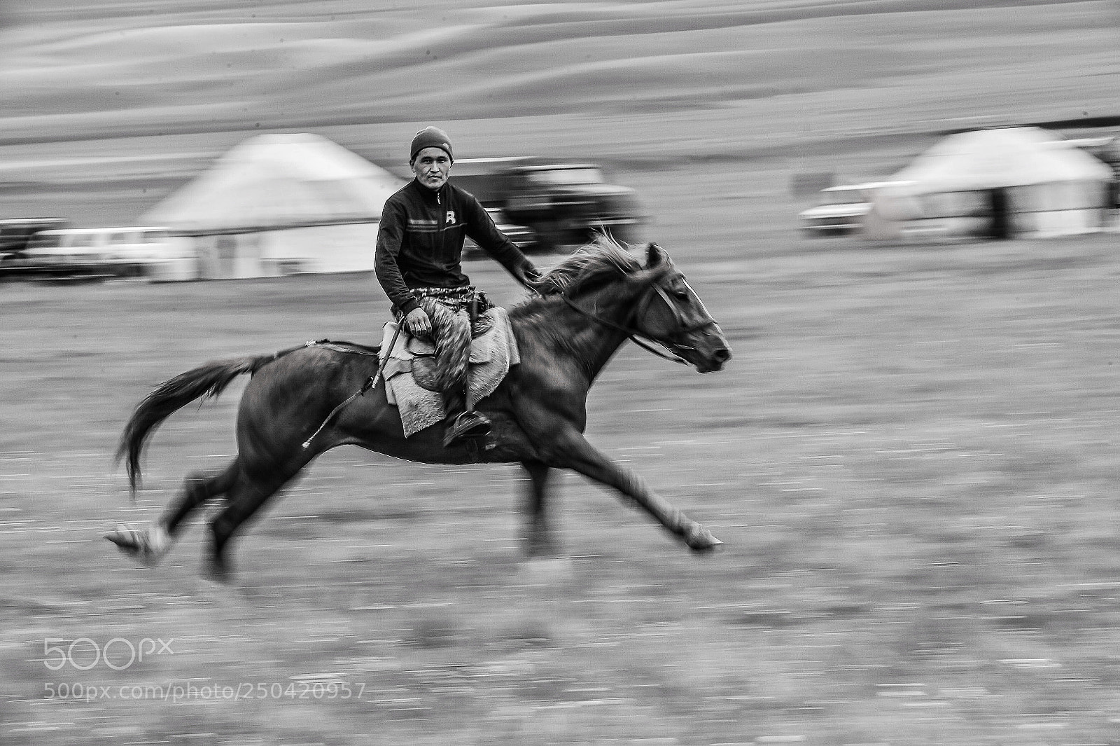 Nikon D4S sample photo. Horse speed b/w photography