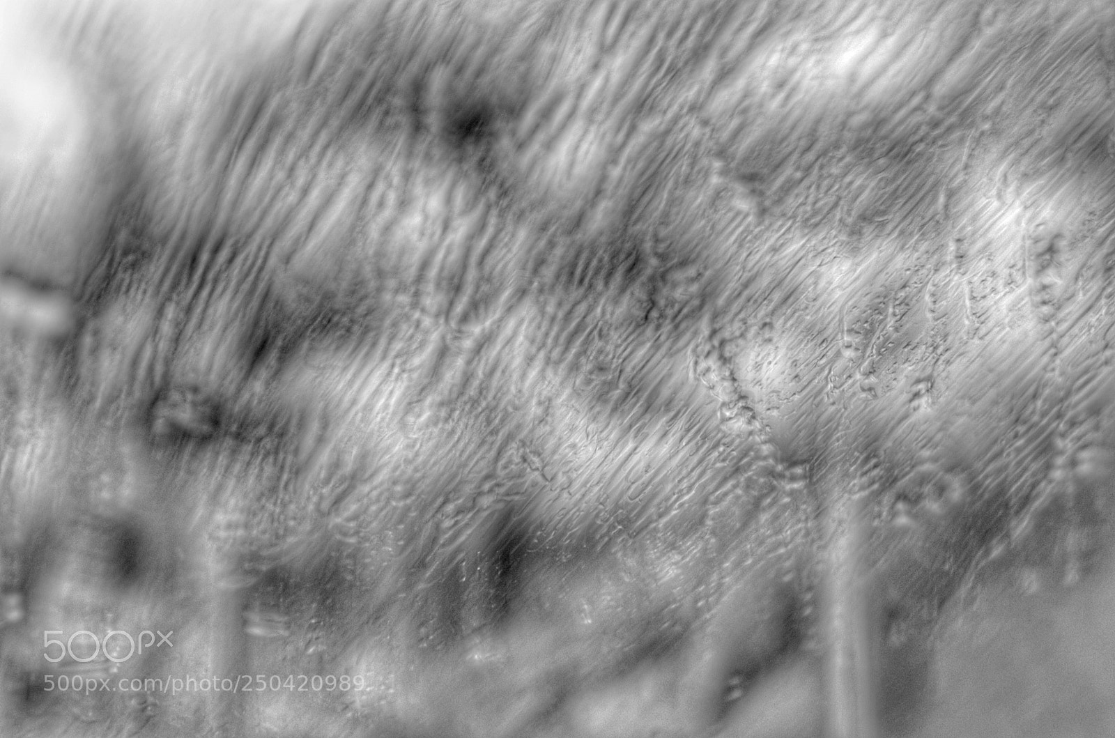 Pentax K-50 sample photo. Untitled photography