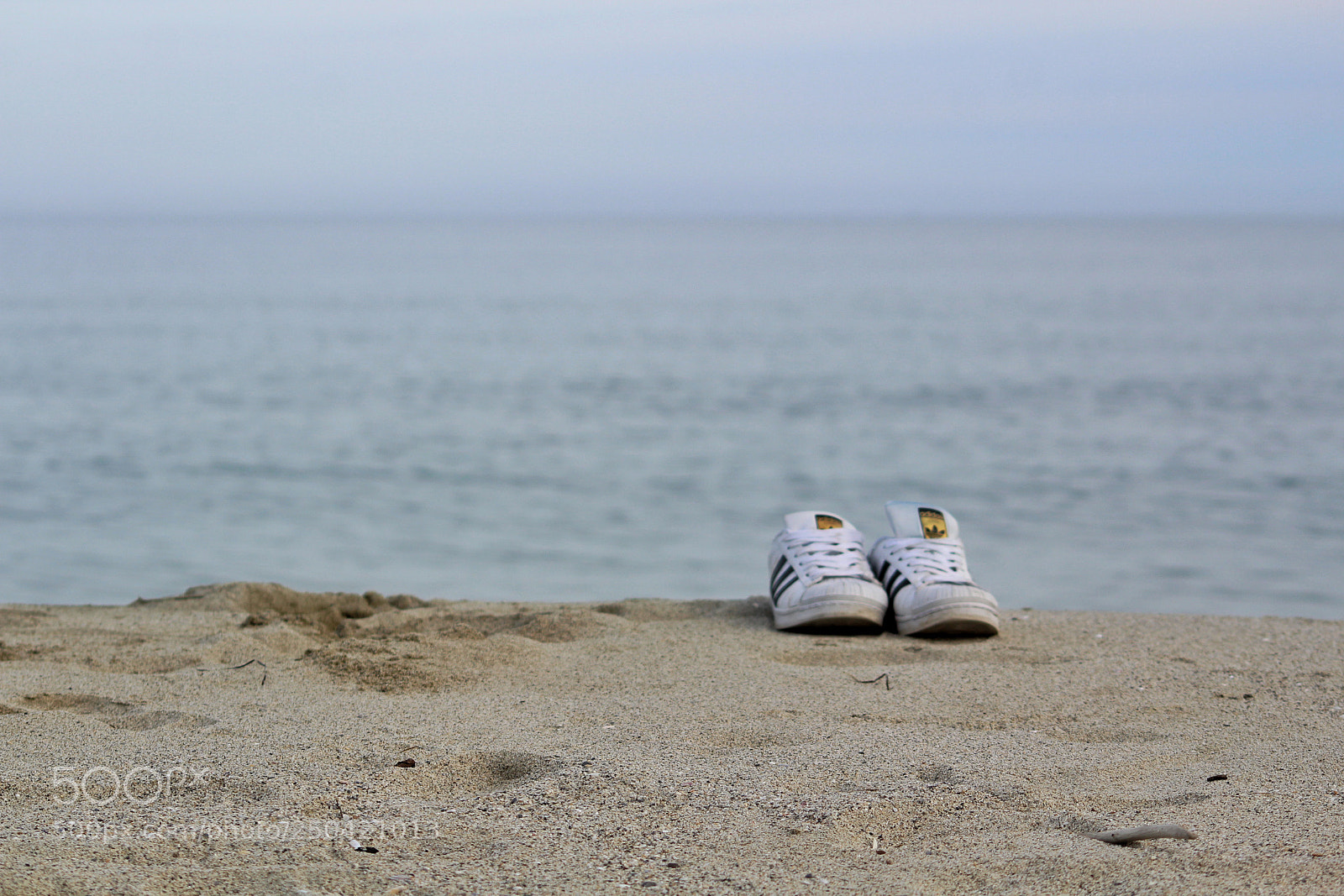 Canon EOS 1300D (EOS Rebel T6 / EOS Kiss X80) sample photo. Beach photo shooting photography