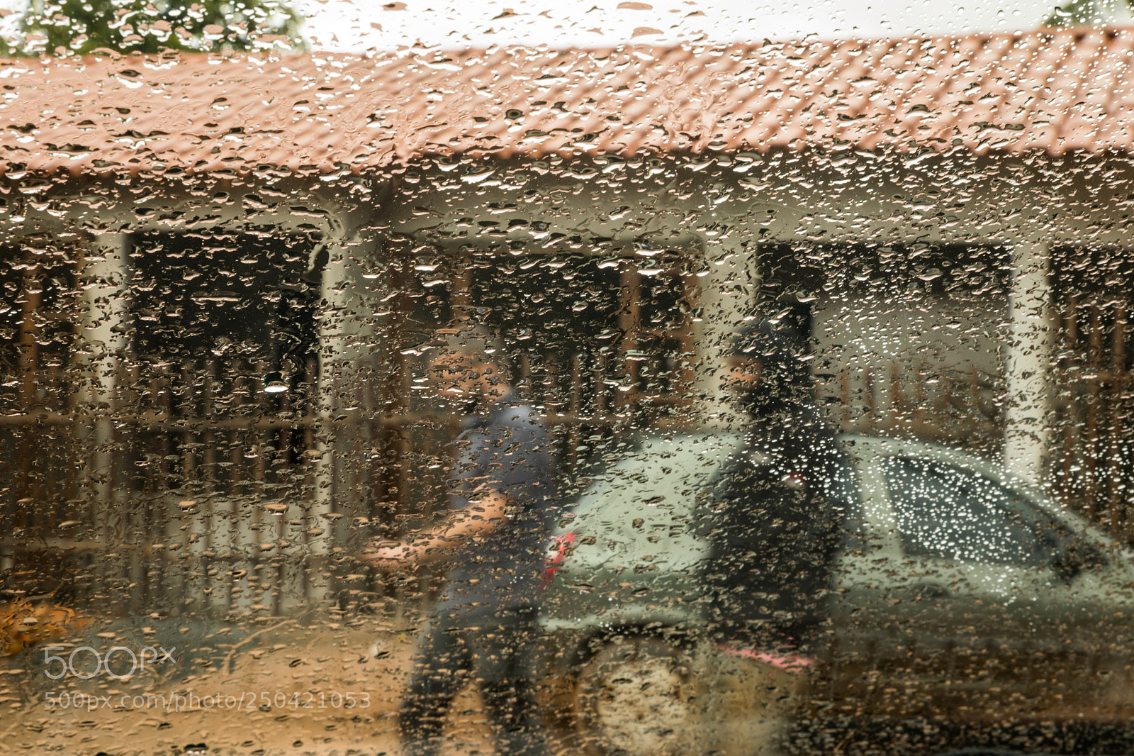 Canon EOS 5D Mark IV sample photo. Rain photography