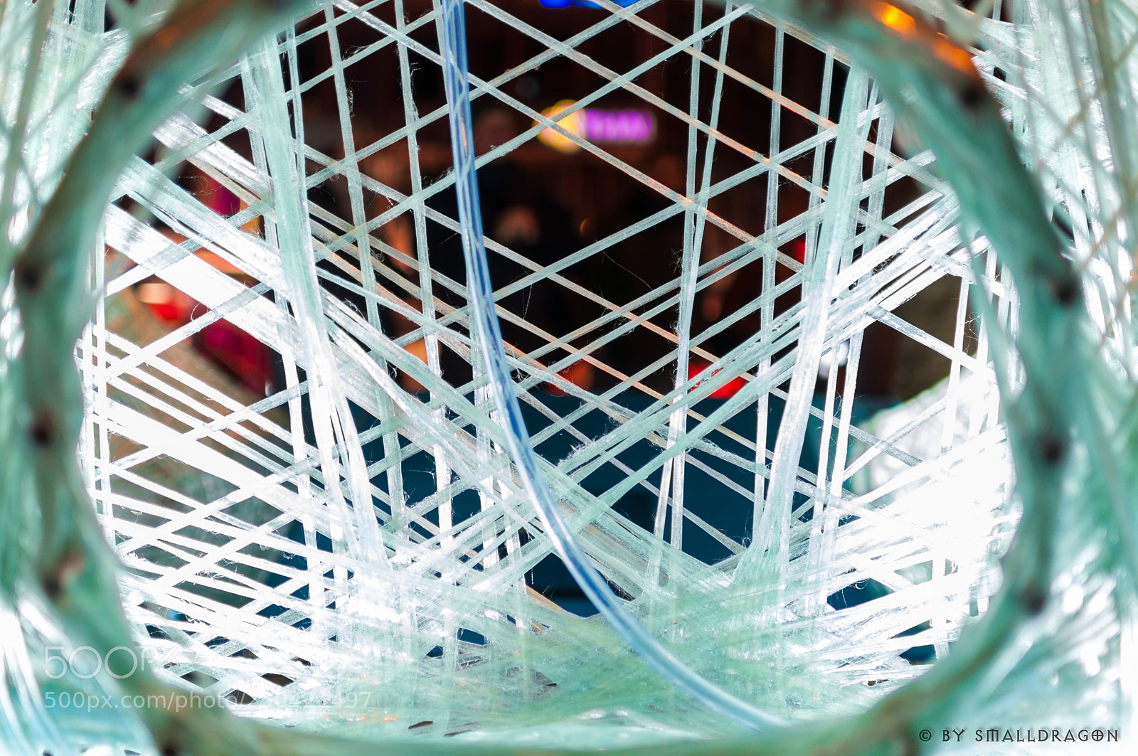 Nikon D5000 sample photo. Light web photography