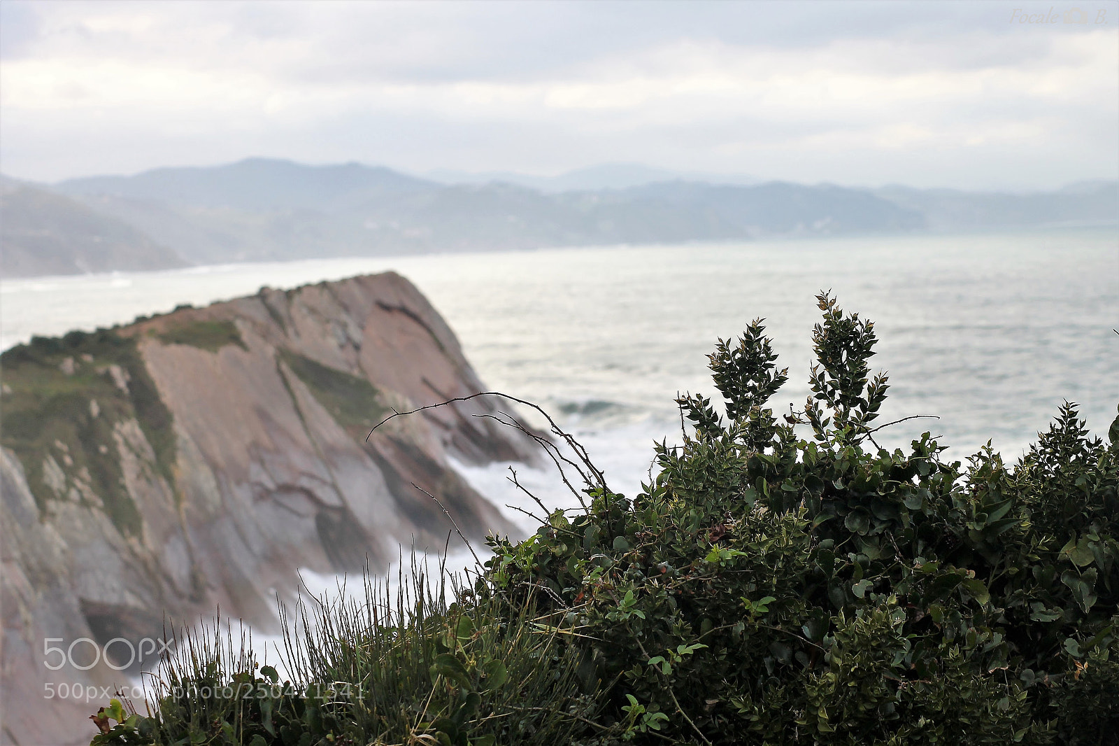 Canon EOS 1100D (EOS Rebel T3 / EOS Kiss X50) sample photo. Ocean's bush photography
