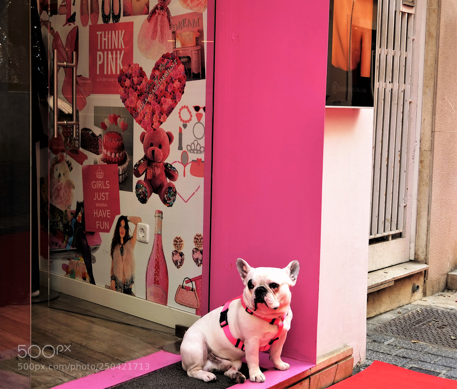 Panasonic Lumix DC-GH5 sample photo. Think pink! photography