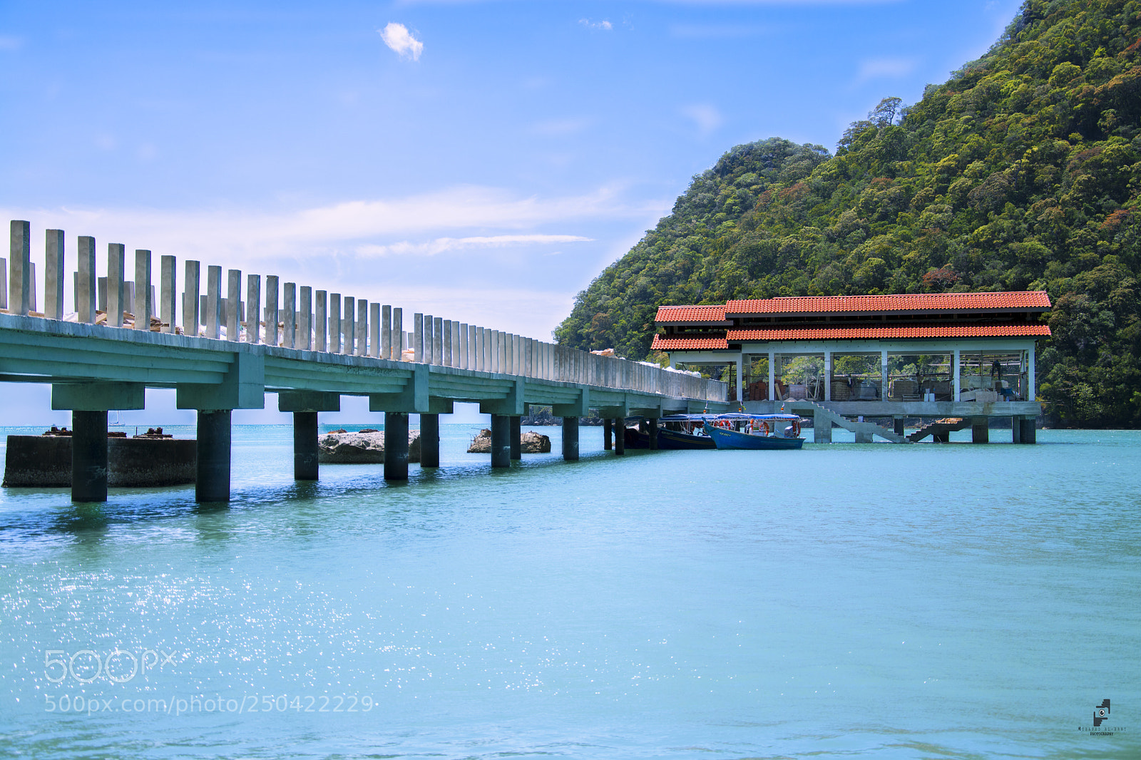 Nikon D7100 sample photo. Purity photography