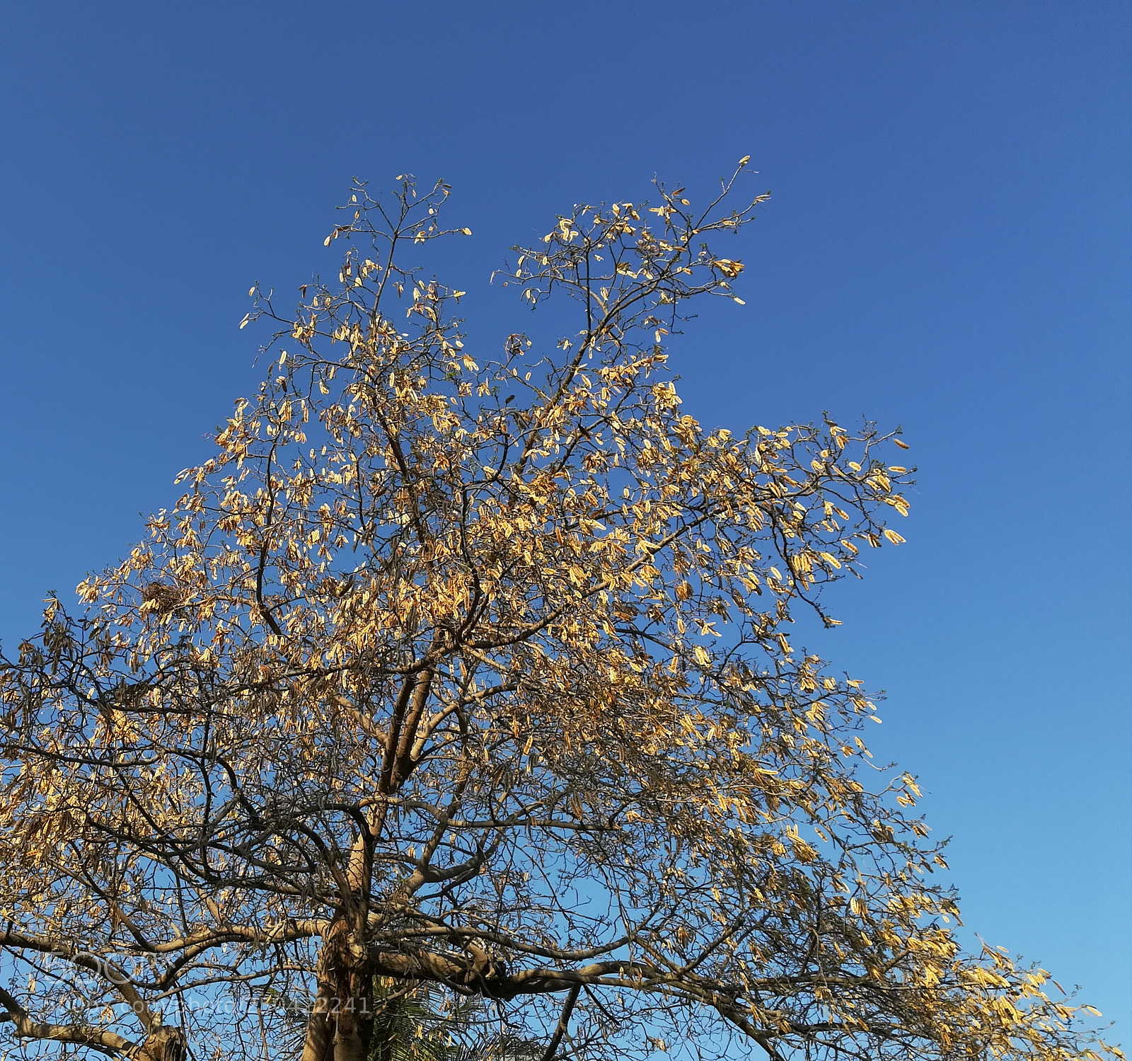 HUAWEI P10 lite sample photo. Untitled photography