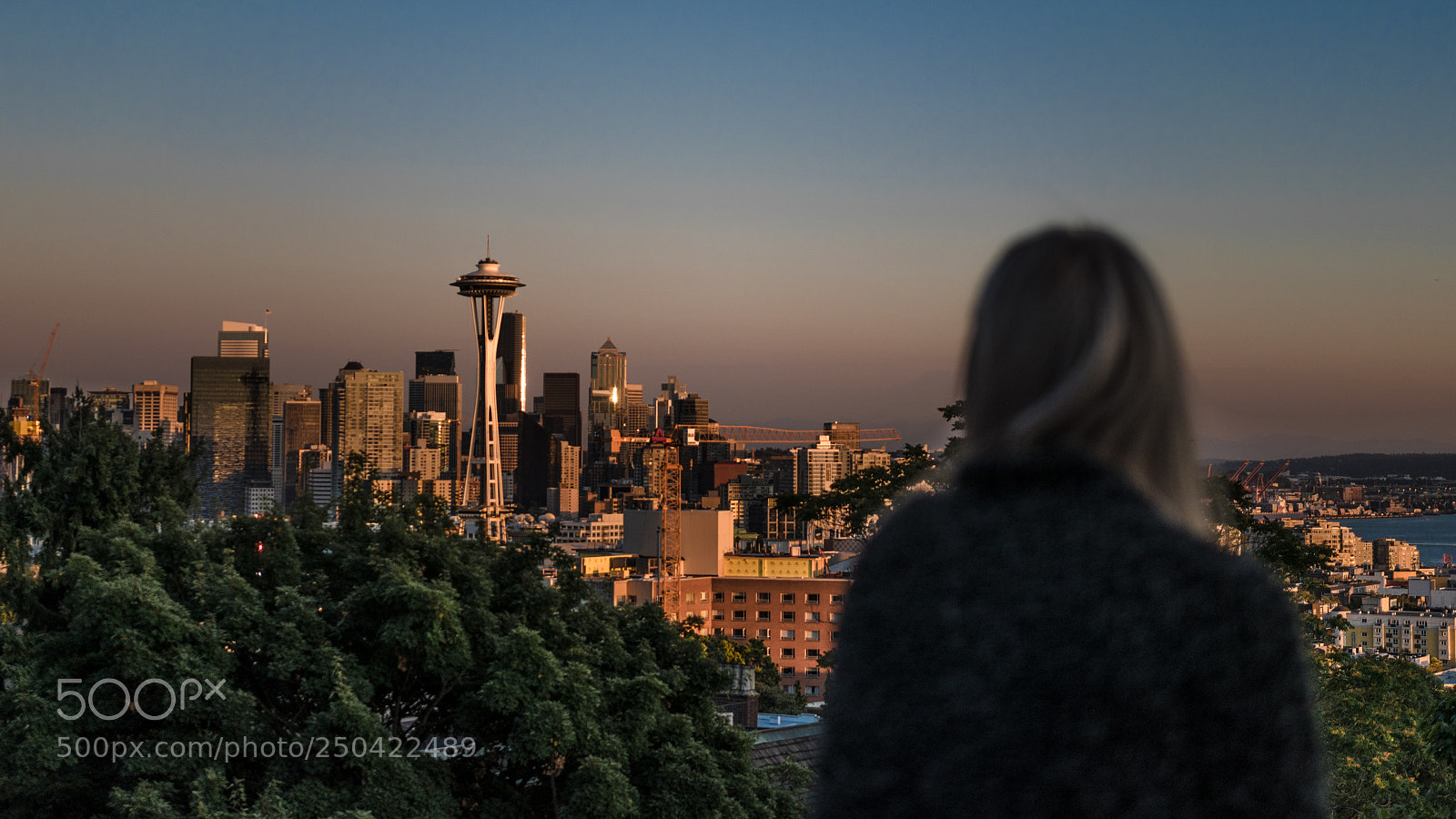 Nikon D5500 sample photo. Checking out the skyline photography