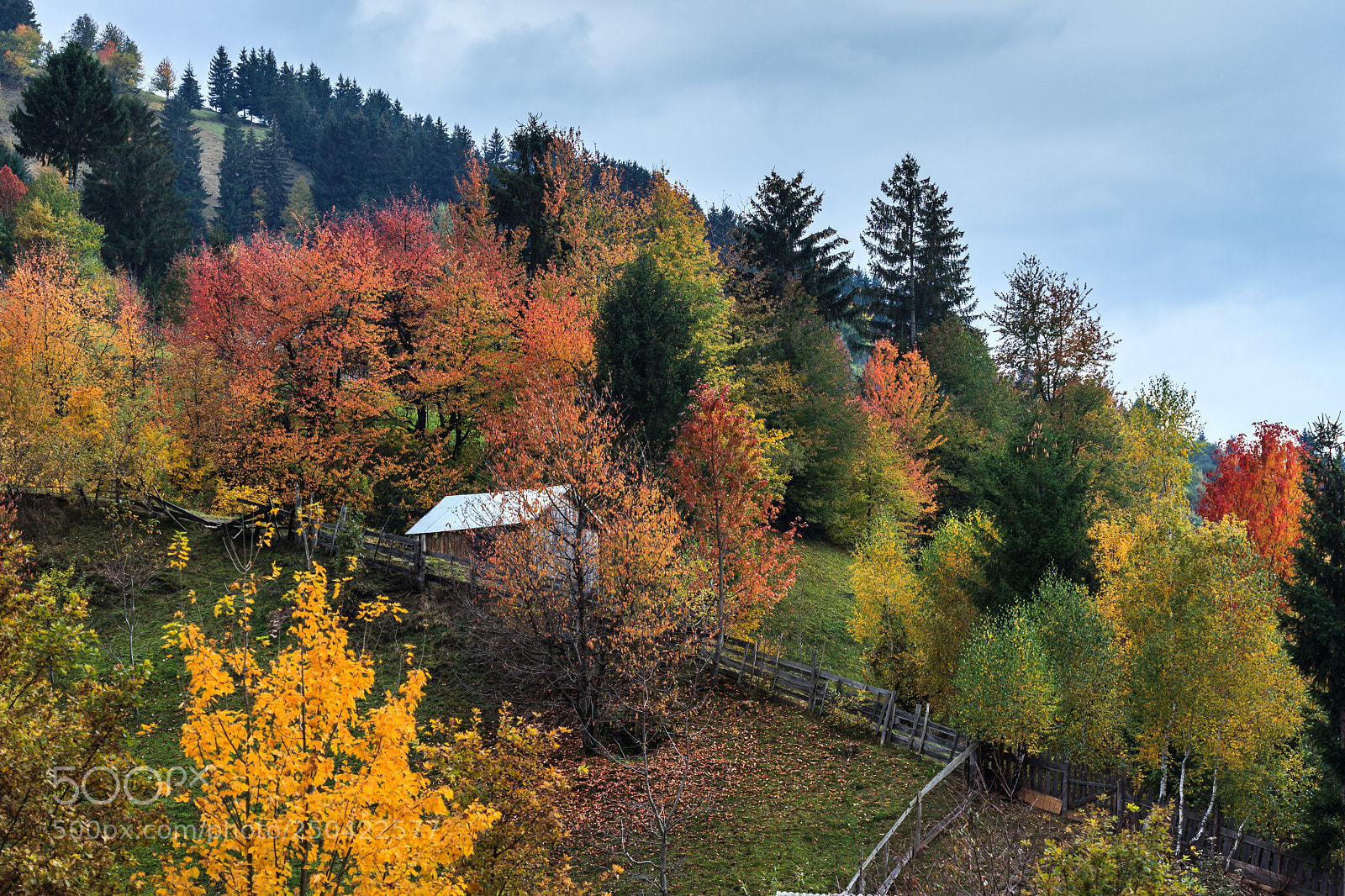 Canon EOS 5D Mark II sample photo. Colorful autumn landscape in photography
