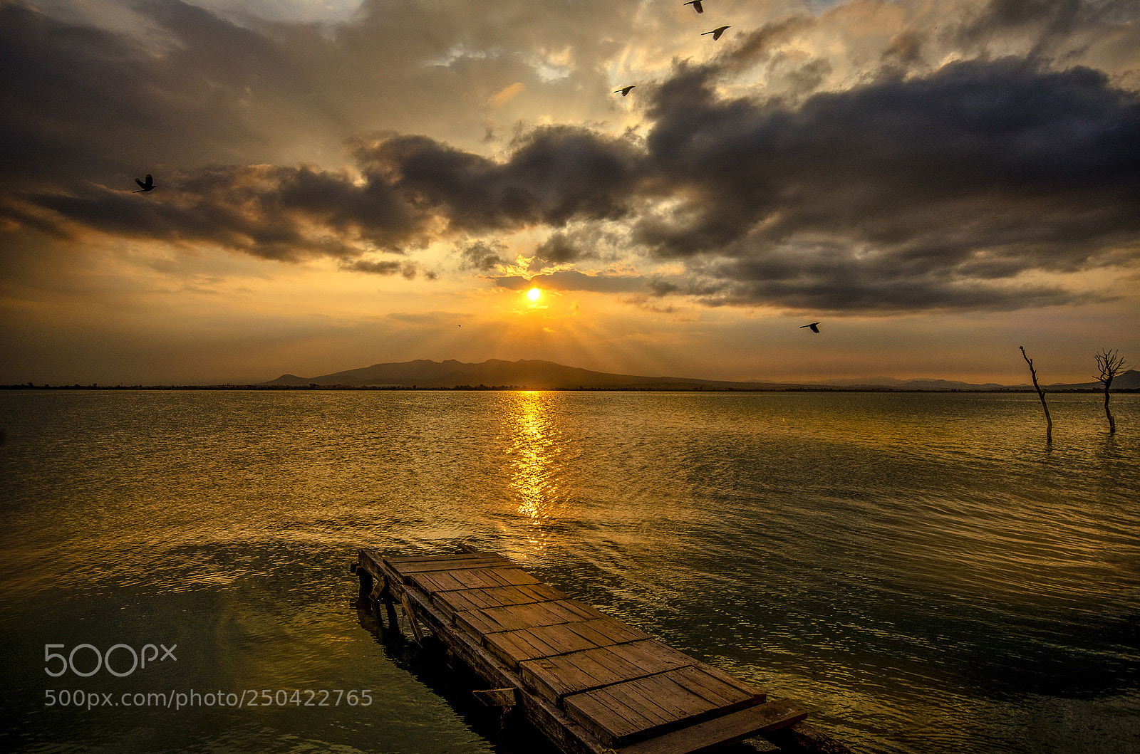 Nikon D7000 sample photo. Golden afternoon photography