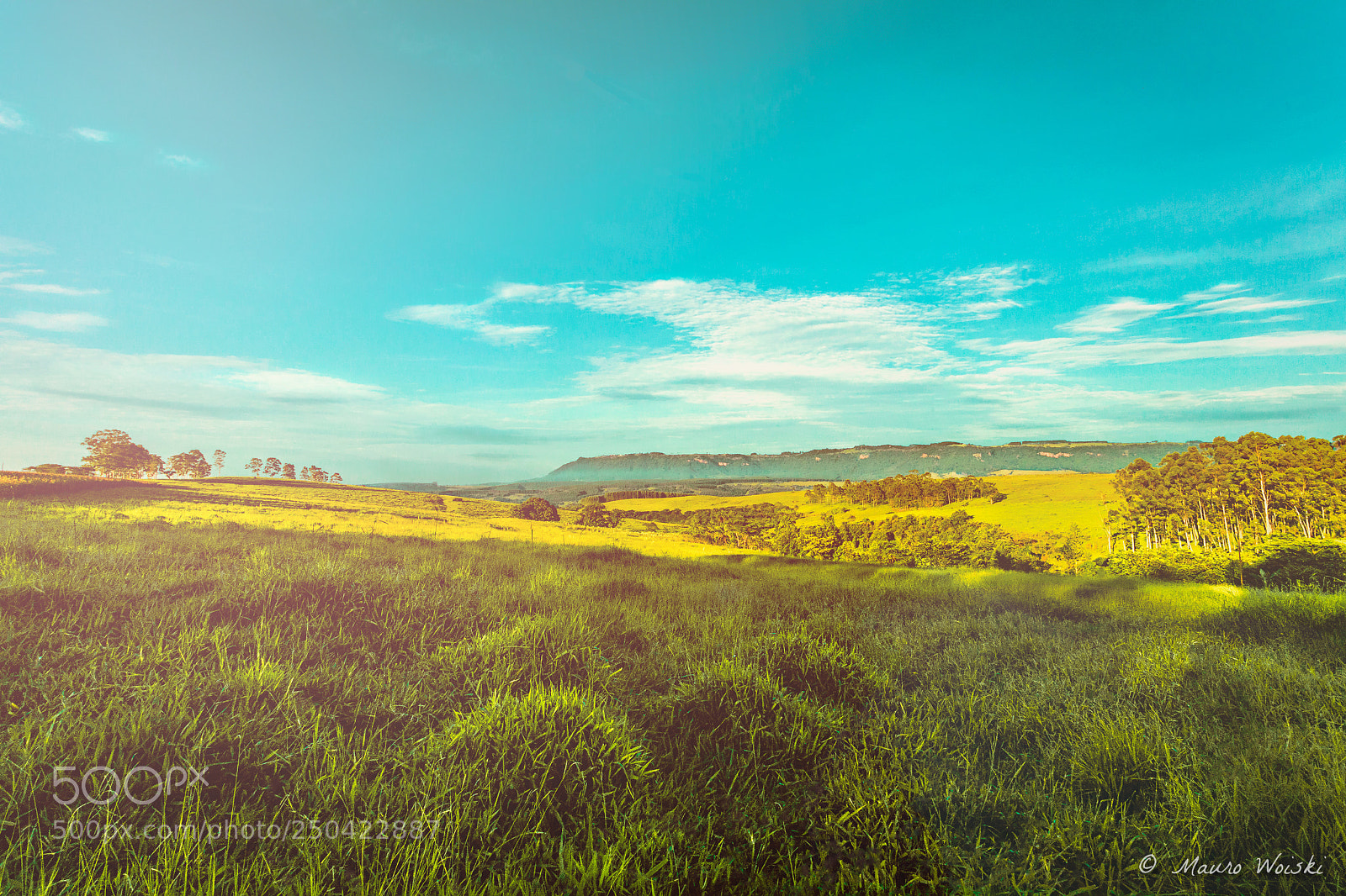 Canon EOS 5DS R sample photo. Sunshine on field photography
