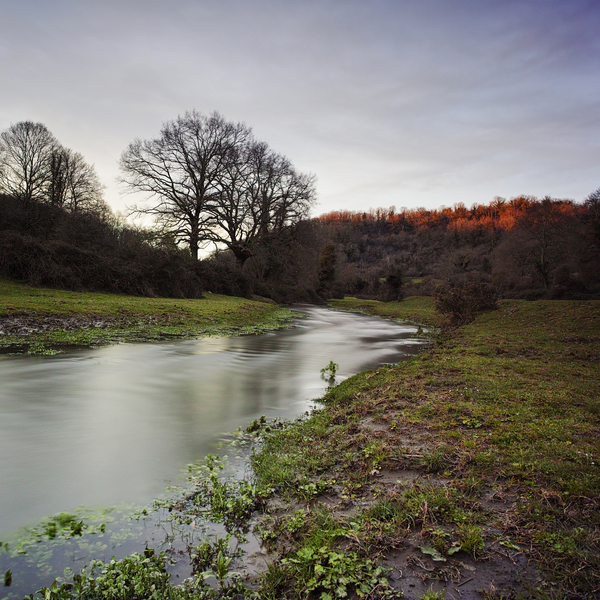 Sigma dp0 Quattro sample photo. "sorbo valley" photography