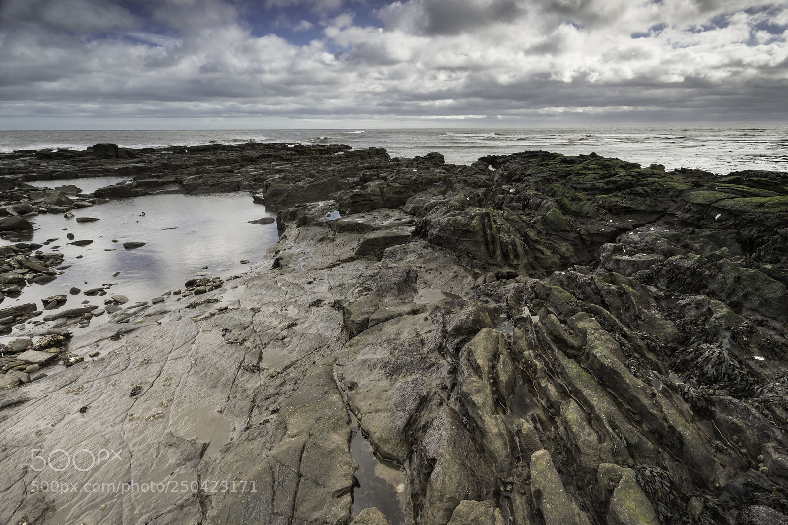 Canon EOS 6D Mark II sample photo. Cresswell out to sea photography