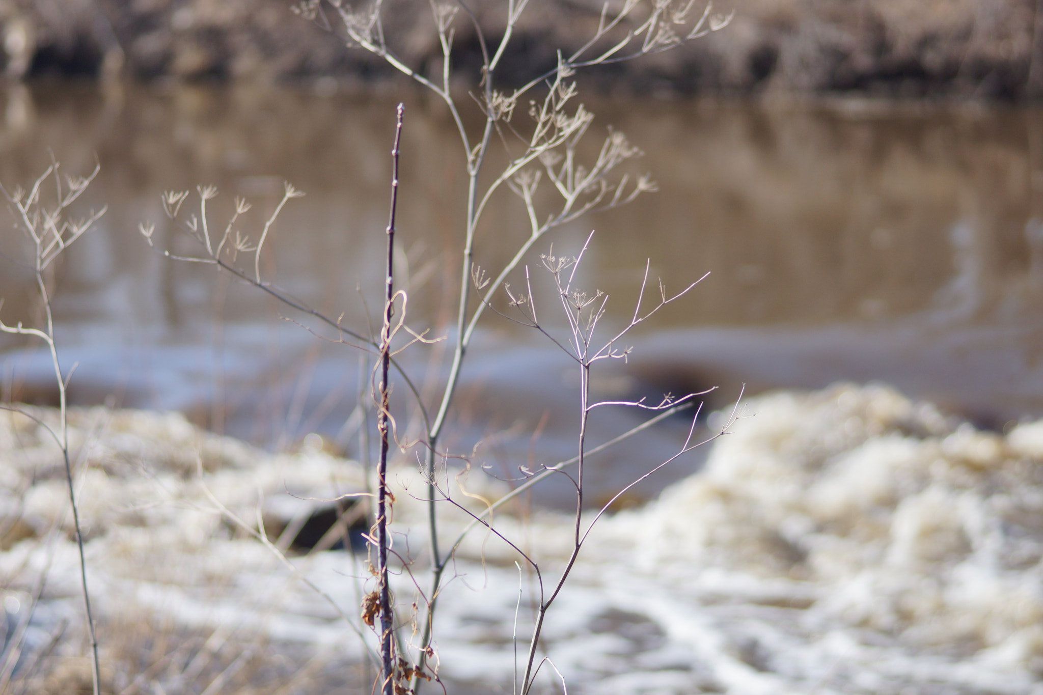 Sony 85mm F2.8 SAM sample photo. Rushing river photography